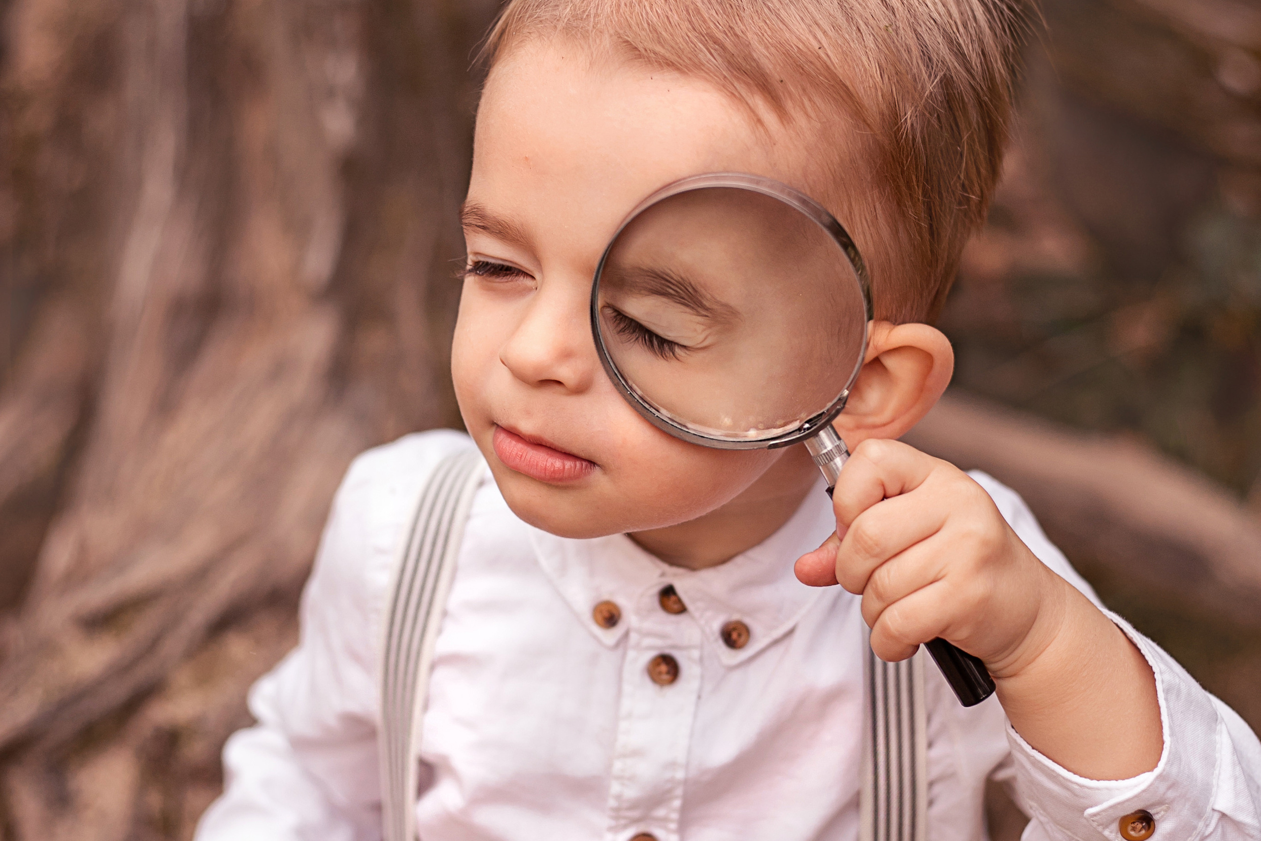 В осеннем лесу