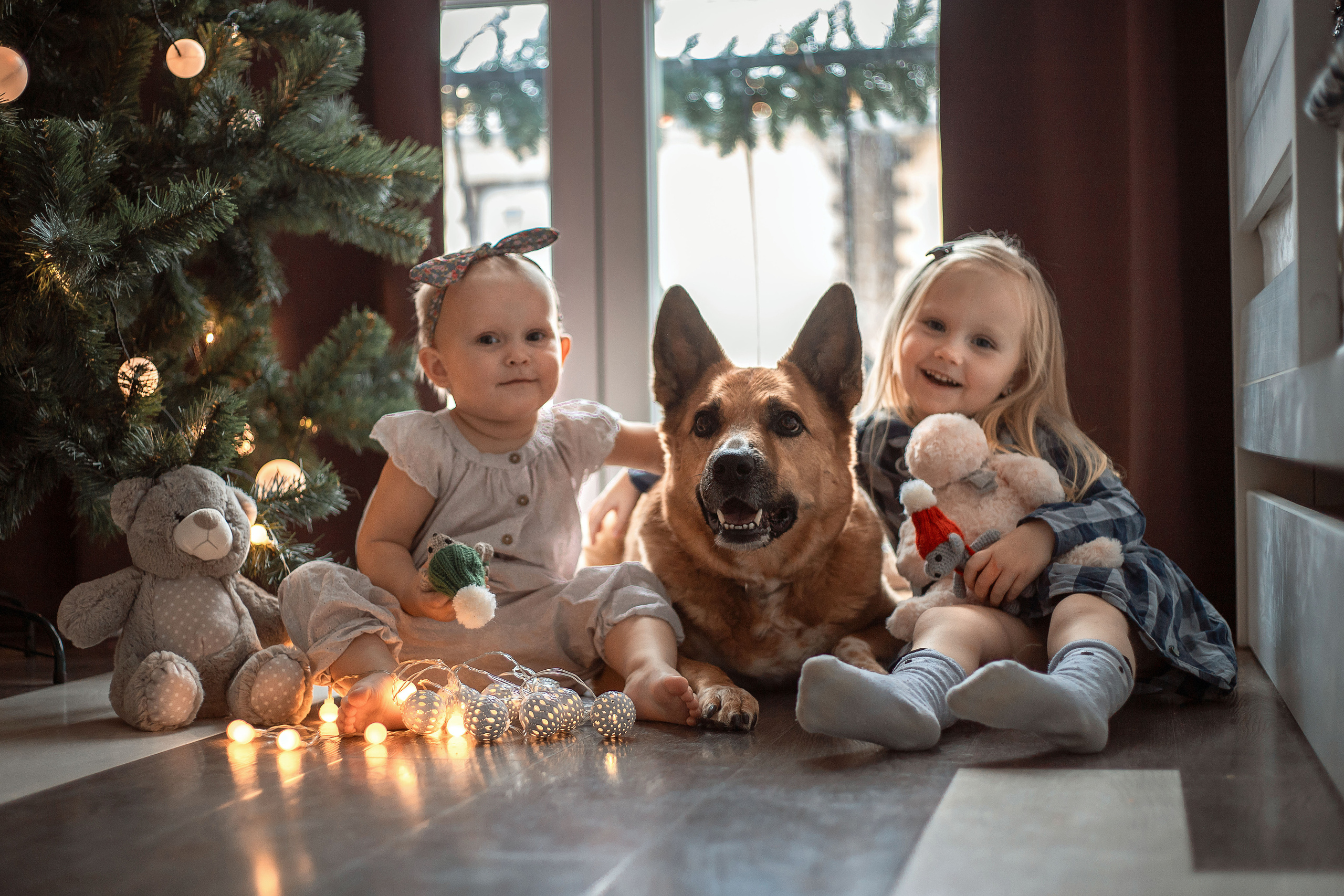 Предновогодние приготовления