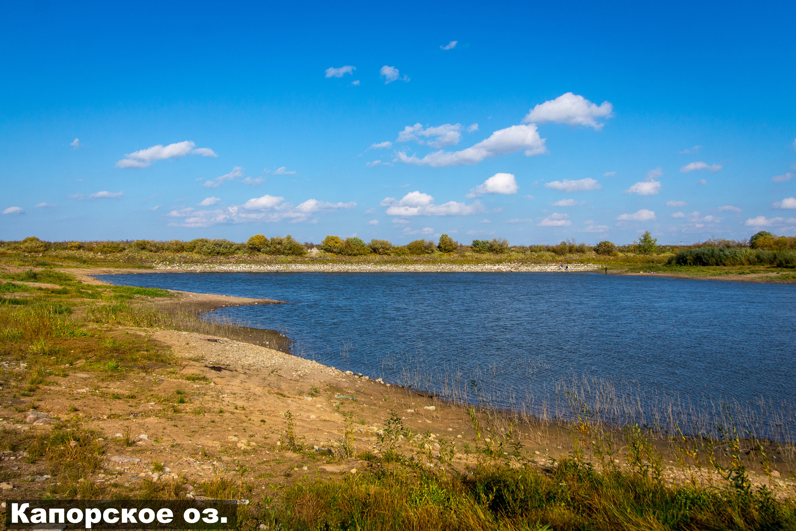 Дом в стиле Тарантино. Агентская интерьерная фотосъемка