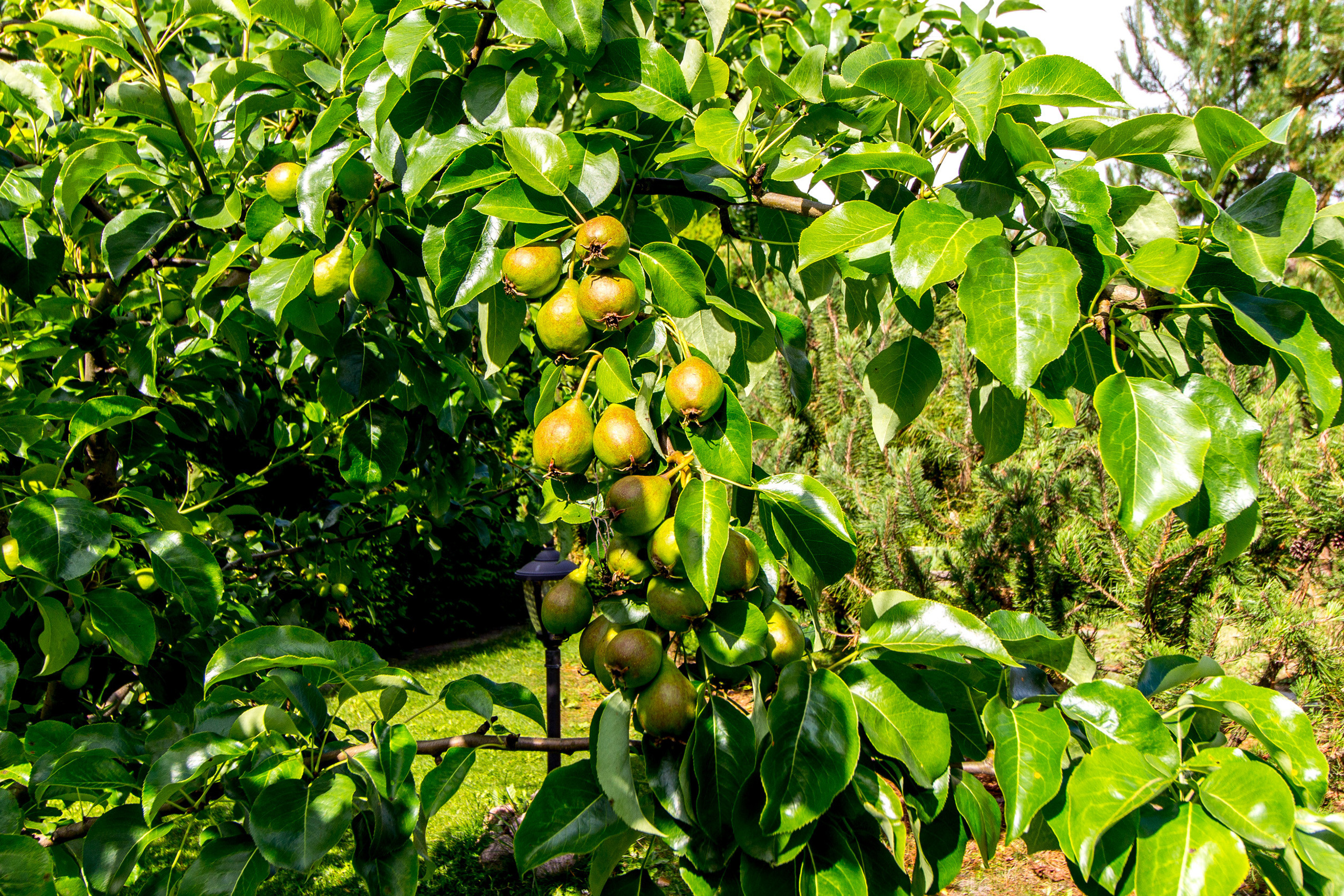 Дом в Ломоносовском р-не ЛО. Агентская интерьерная фотосъемка