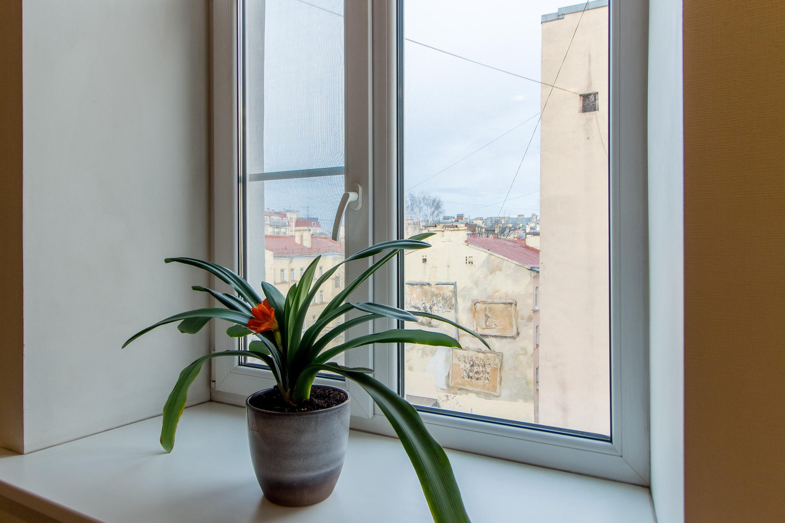 Квартира на Невском. Агентская интерьерная фотосъемка