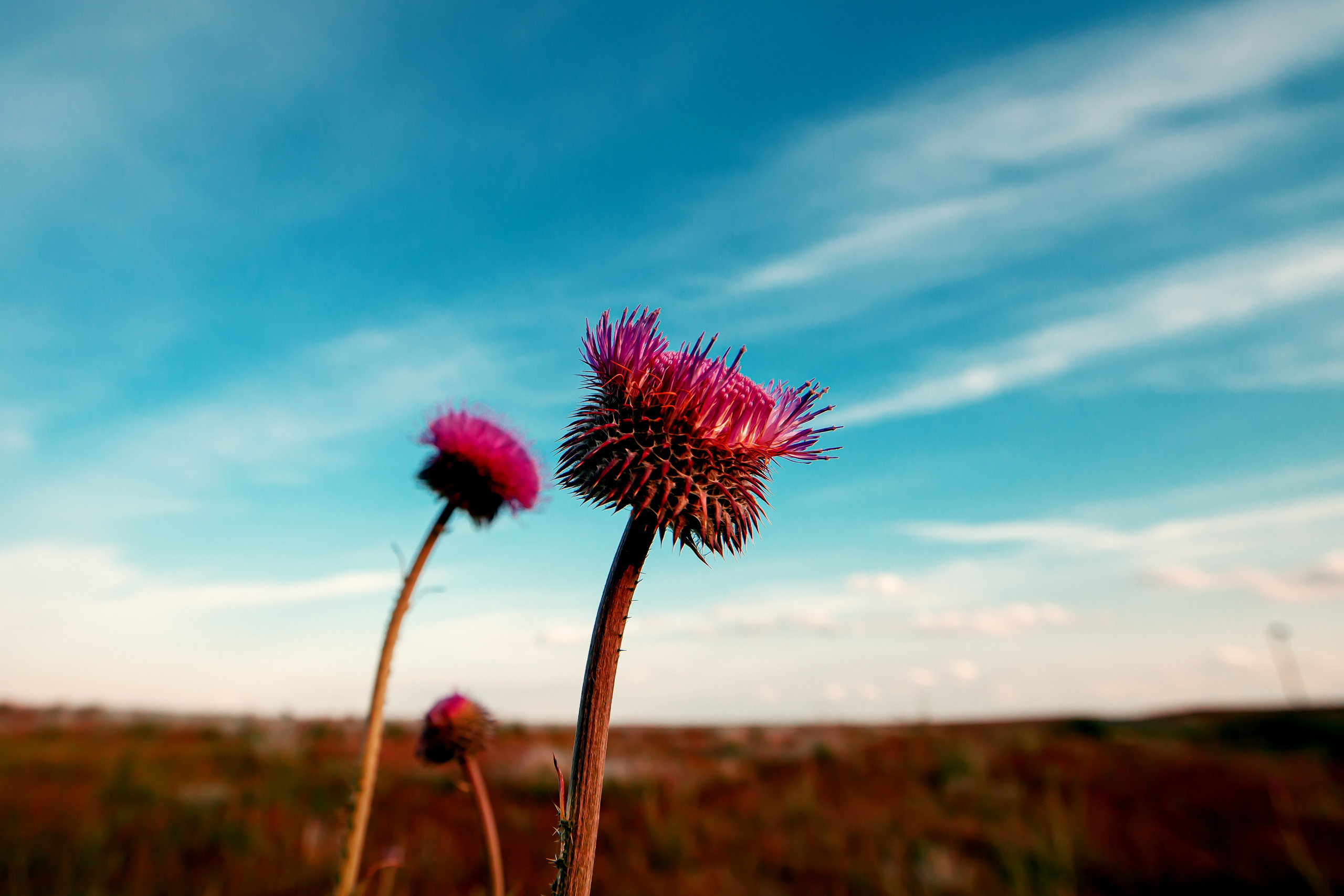 Сергей-Ирина