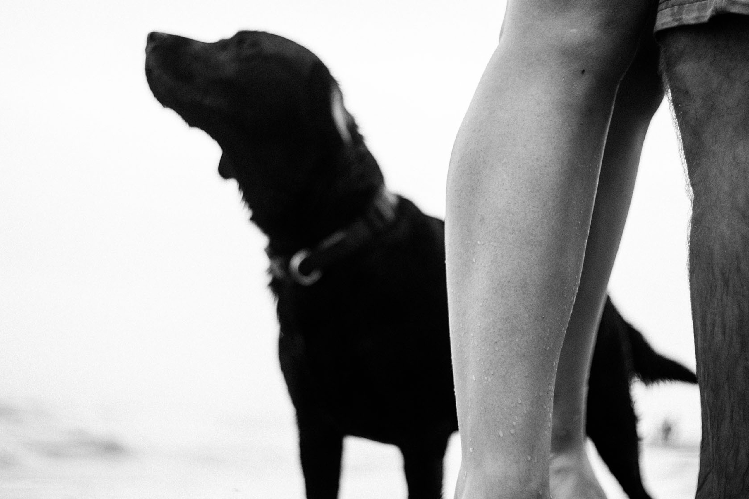 Арина + Максим