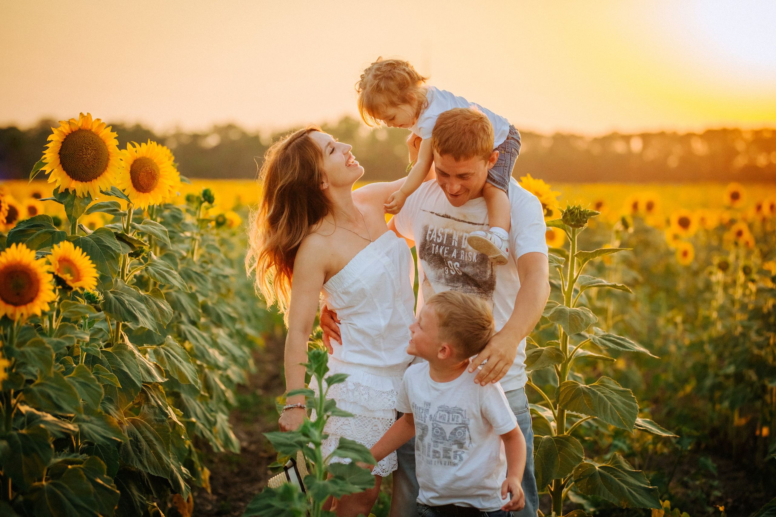 Подсолнухи!