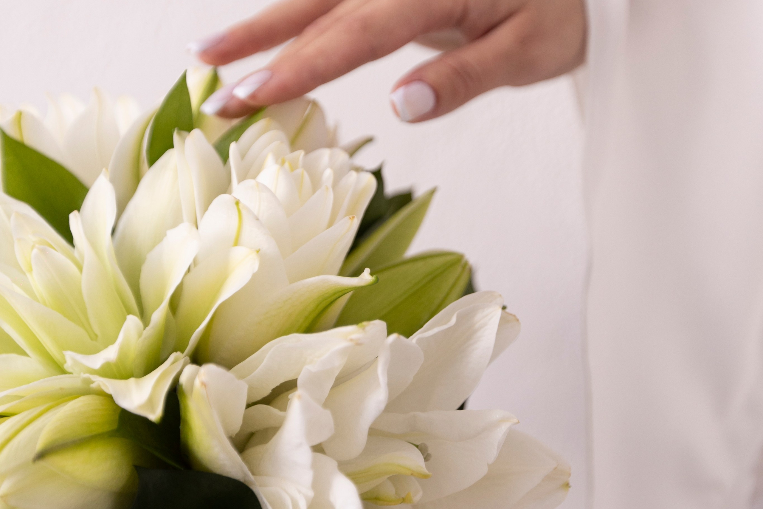 Камерный вечер. Свадебный фотограф Наталья Молявина