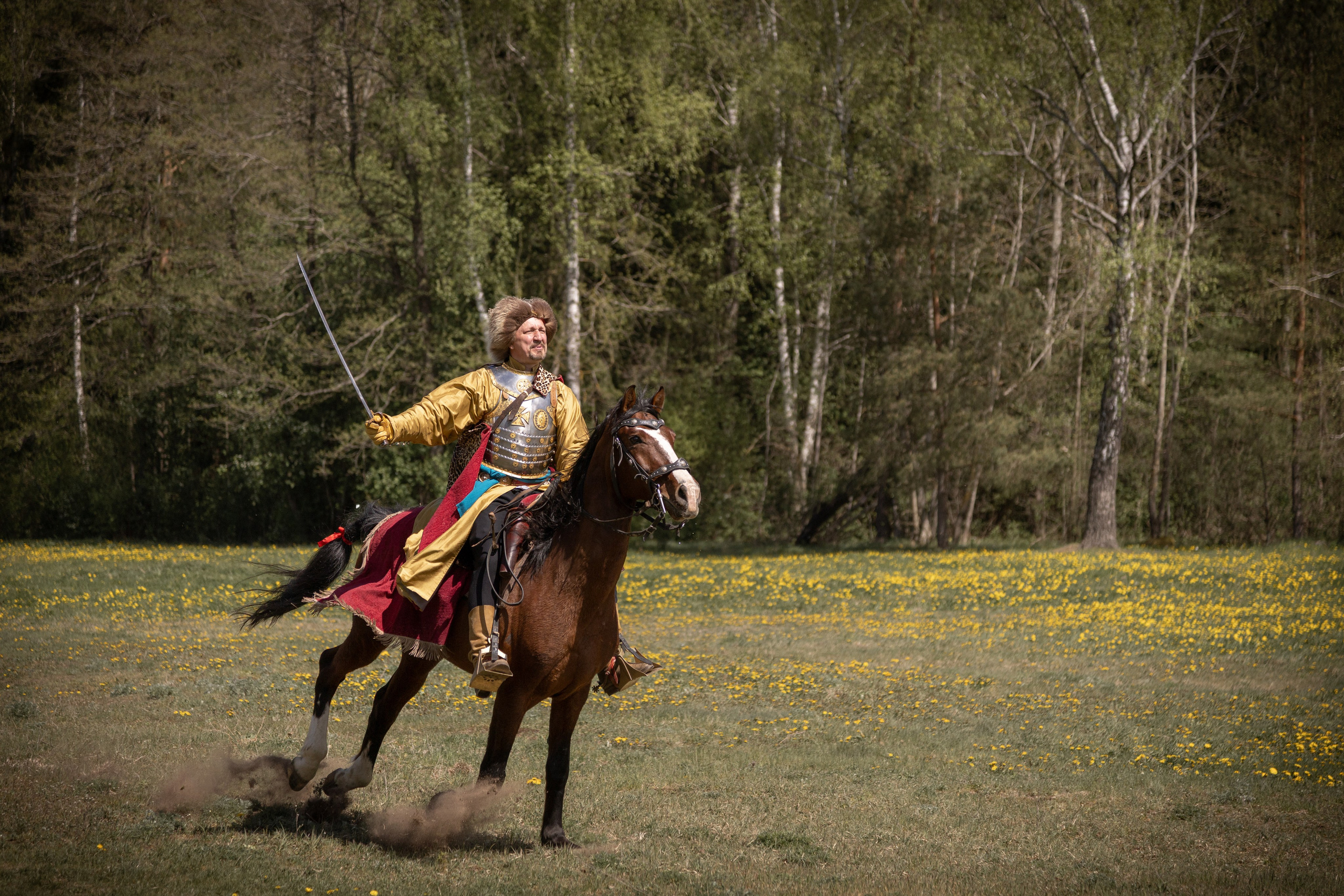 Золотая шпора. Огнем и мечем. День второй. Вылазка в лес. Штурм фортеции. Княжеский пир. Профессиональный интерьерный и репортажный фотограф Минск и РБ. Максим Орлов