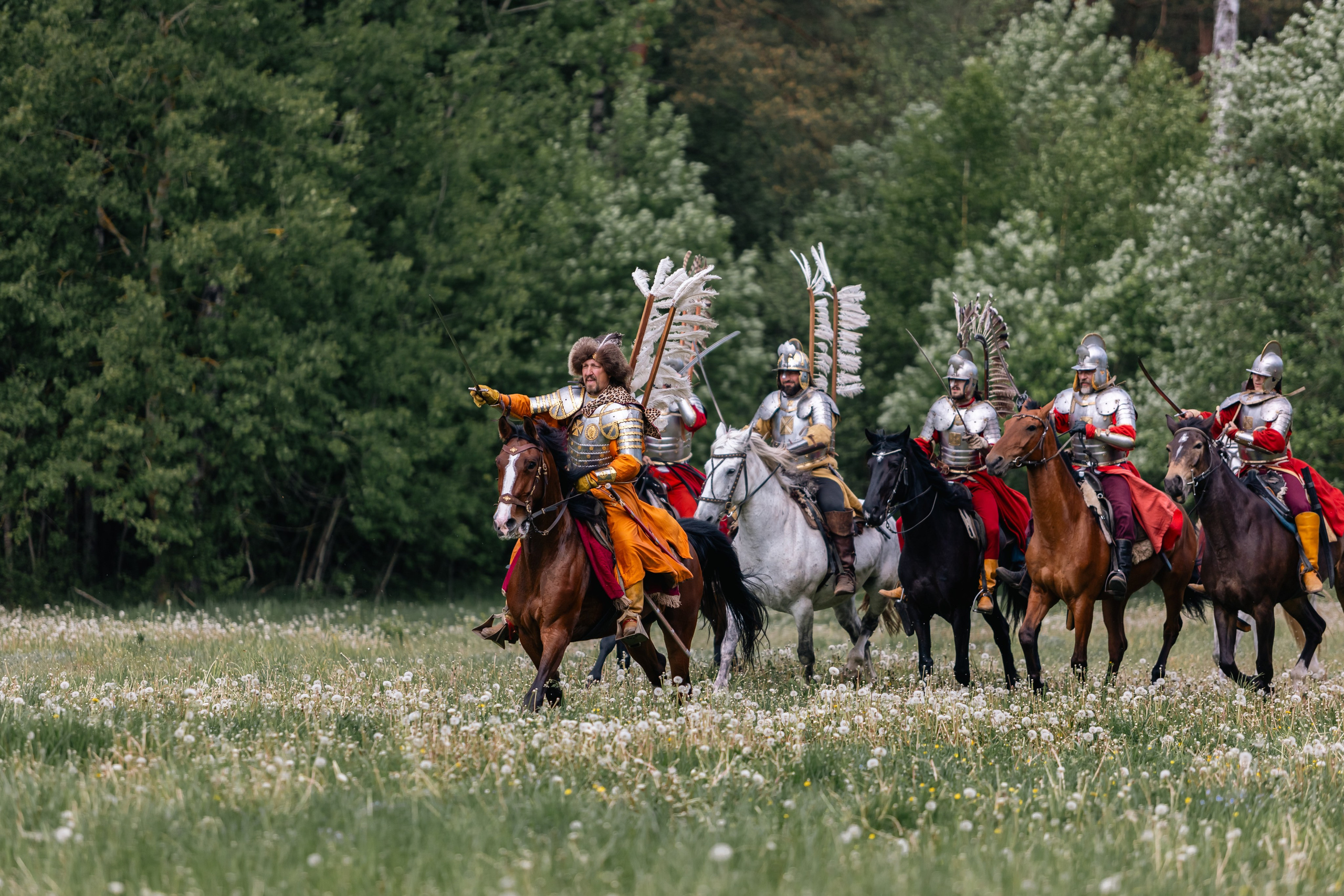 Золотая шпора. Маневры 17 века. Профессиональный интерьерный и репортажный фотограф Минск и РБ. Максим Орлов