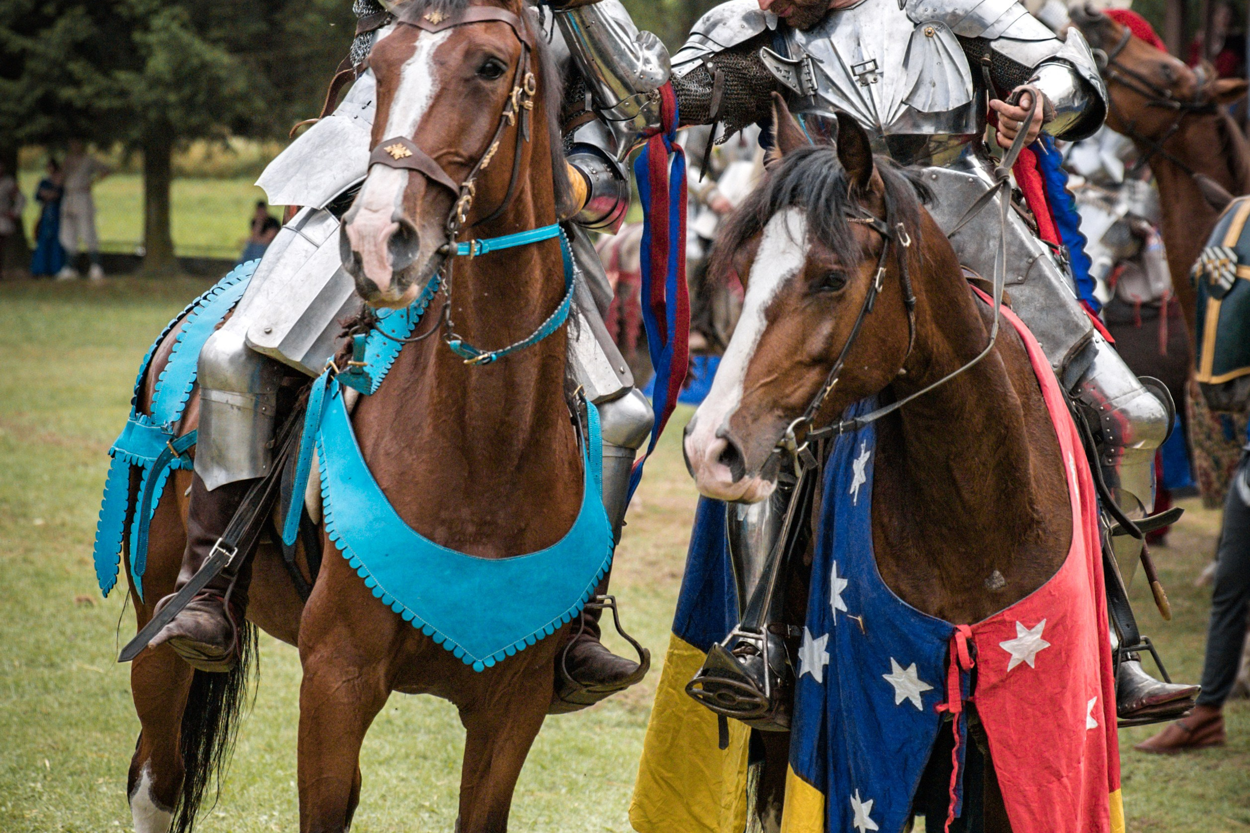 Наш Грюнвальд 2025. Рыцарский турнир. Профессиональный интерьерный и репортажный фотограф Минск и РБ. Максим Орлов