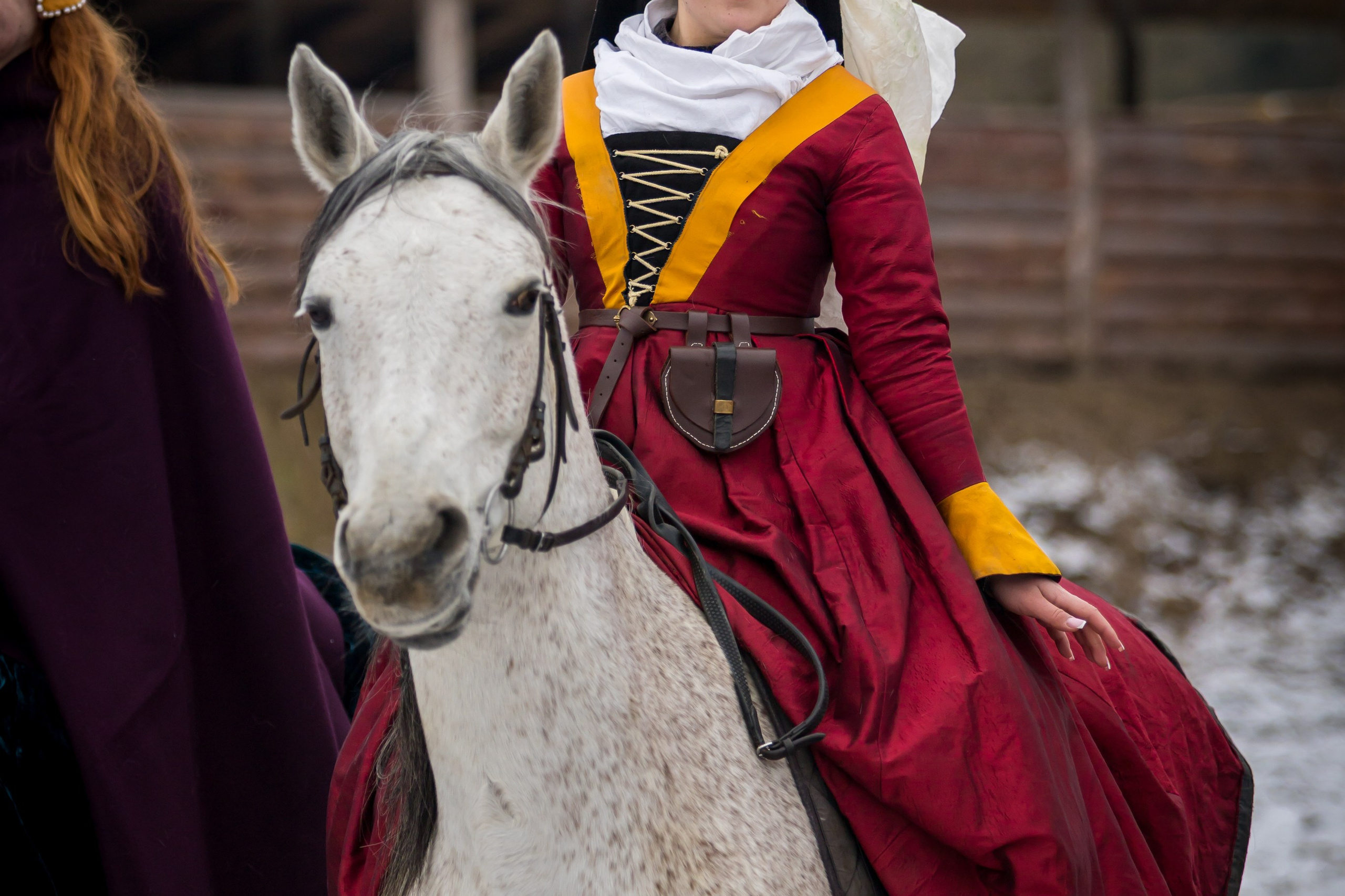 Зимние маневры «Золотой шпоры». 2025. Профессиональный интерьерный и репортажный фотограф Минск и РБ. Максим Орлов