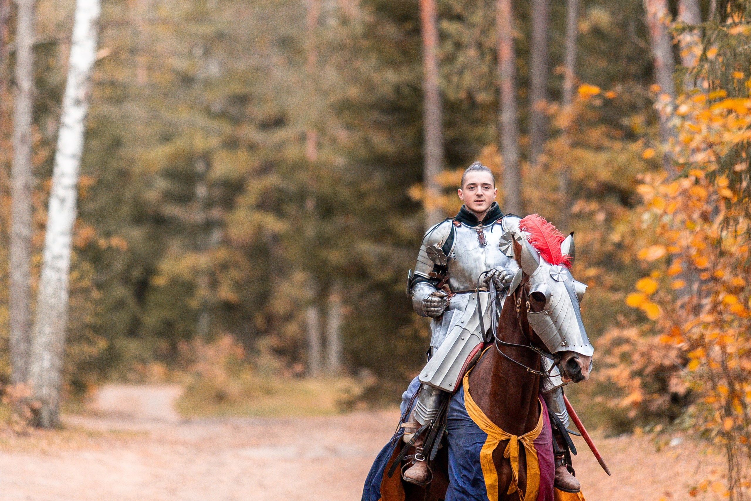 Рыцарская с Афиной. Дима Теслик. Профессиональный интерьерный и репортажный фотограф Минск и РБ. Максим Орлов
