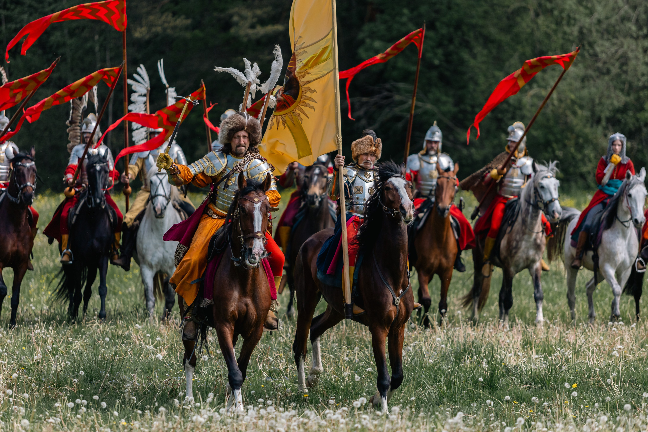 Золотая шпора. Маневры 17 века. Профессиональный интерьерный и репортажный фотограф Минск и РБ. Максим Орлов