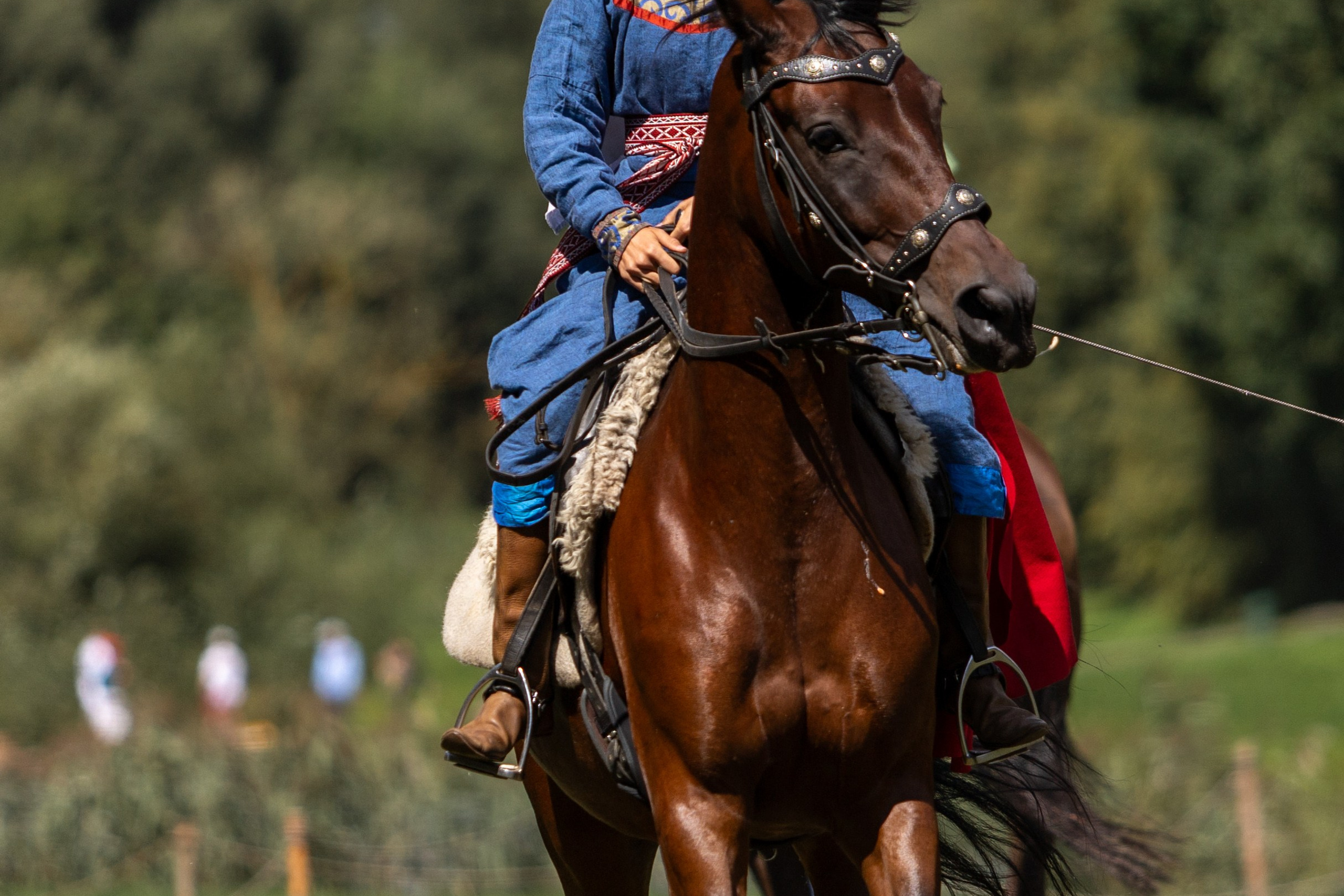 Ежегодный фестиваль средневековья в Дукоре. Профессиональный интерьерный и репортажный фотограф Минск и РБ. Максим Орлов