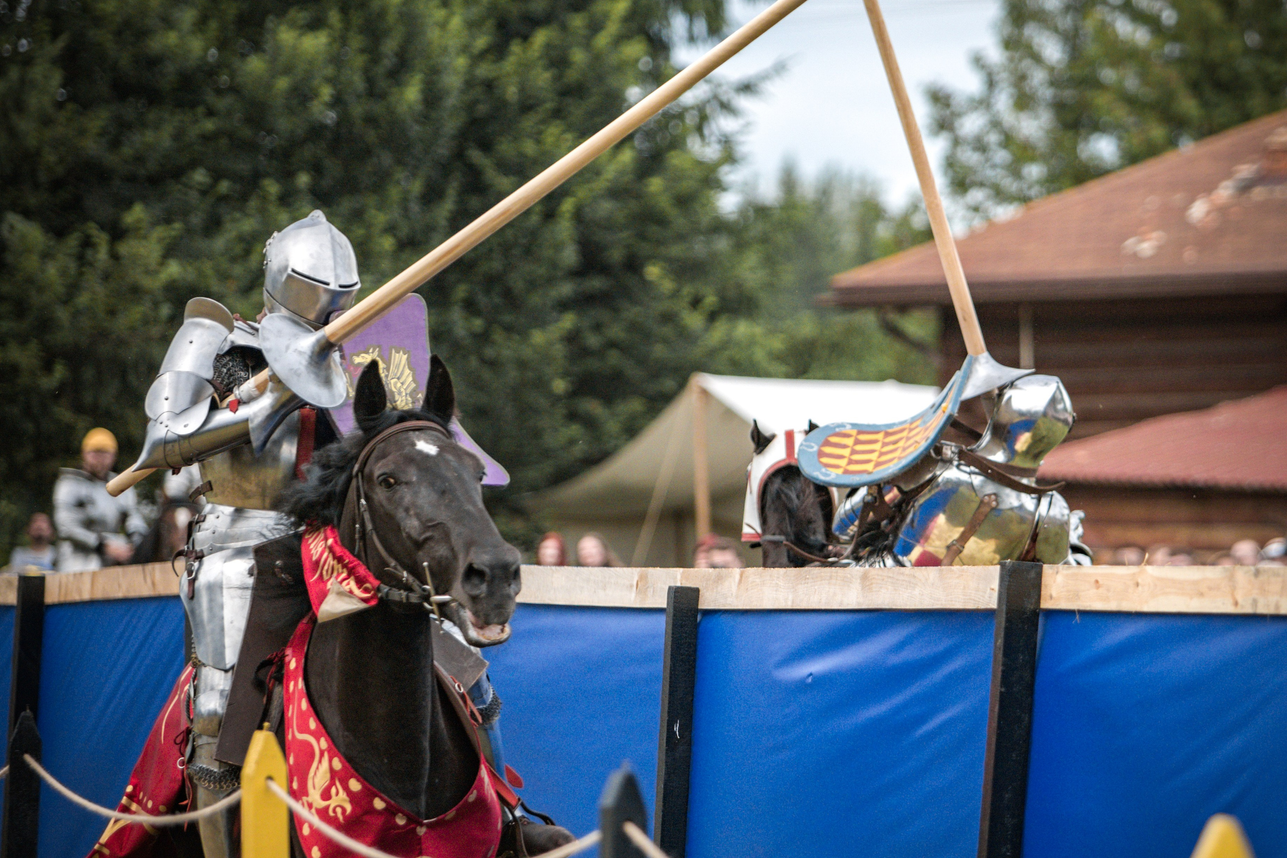 Наш Грюнвальд 2025. Рыцарский турнир. Профессиональный интерьерный и репортажный фотограф Минск и РБ. Максим Орлов