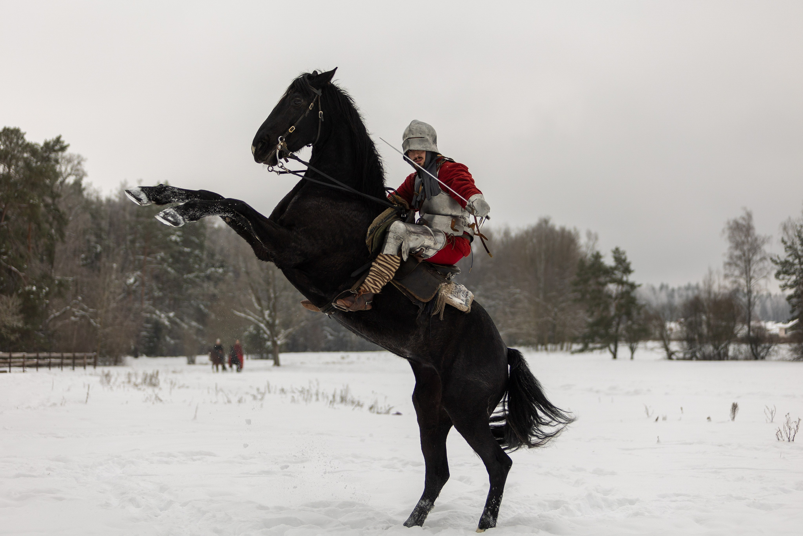 Зимние рыцарские маневры. Профессиональный интерьерный и репортажный фотограф Минск и РБ. Максим Орлов