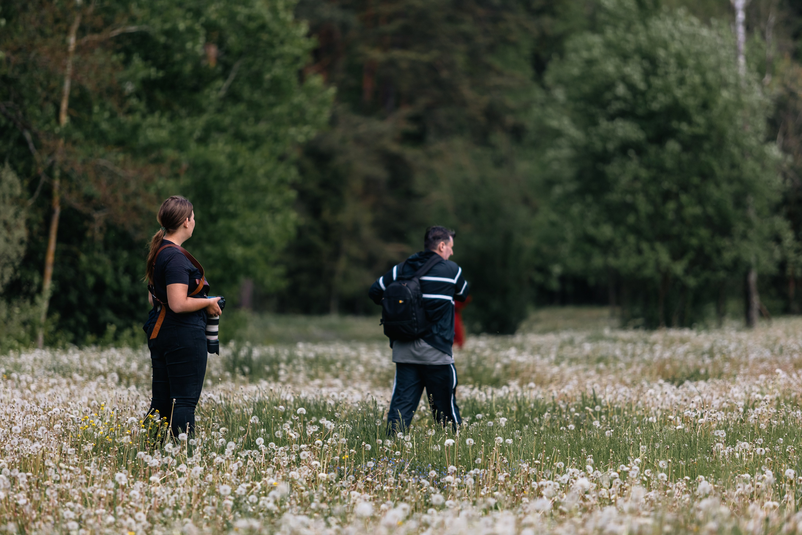 Золотая шпора. Маневры 17 века. Профессиональный интерьерный и репортажный фотограф Минск и РБ. Максим Орлов