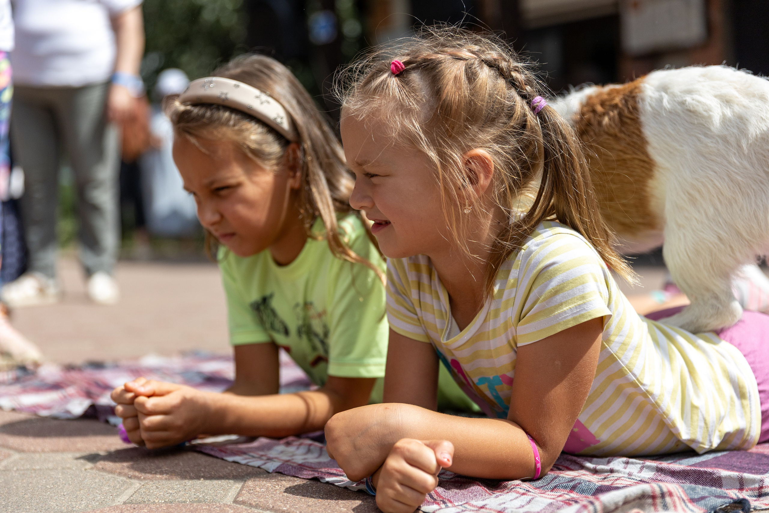 Детифест. Профессиональный интерьерный и репортажный фотограф Минск и РБ. Максим Орлов