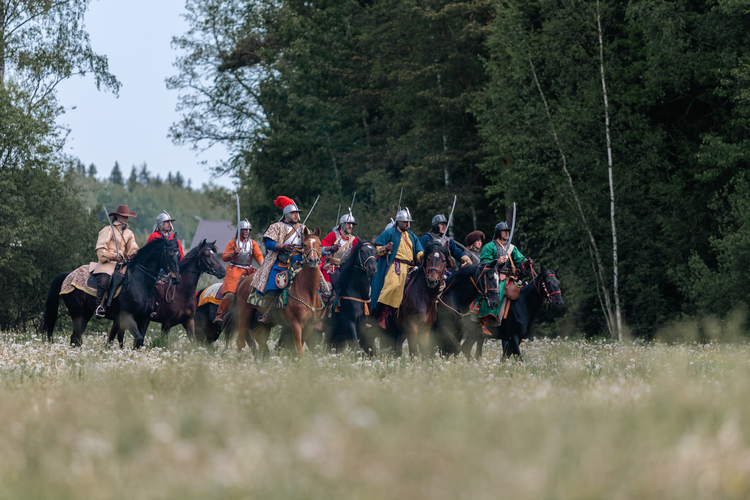 Золотая шпора. Маневры 17 века. Профессиональный интерьерный и репортажный фотограф Минск и РБ. Максим Орлов