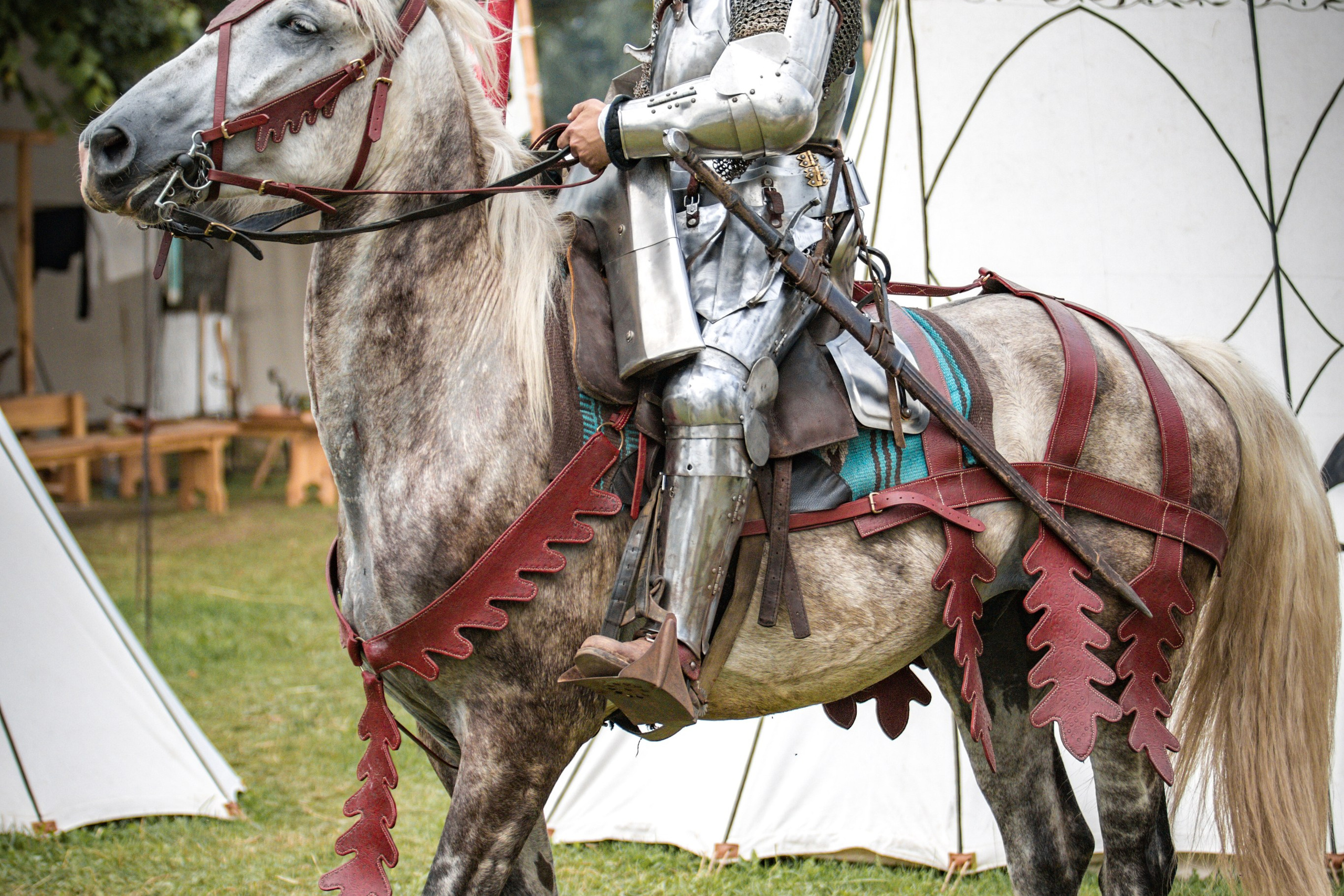 Наш Грюнвальд 2025. Рыцарский турнир. Профессиональный интерьерный и репортажный фотограф Минск и РБ. Максим Орлов