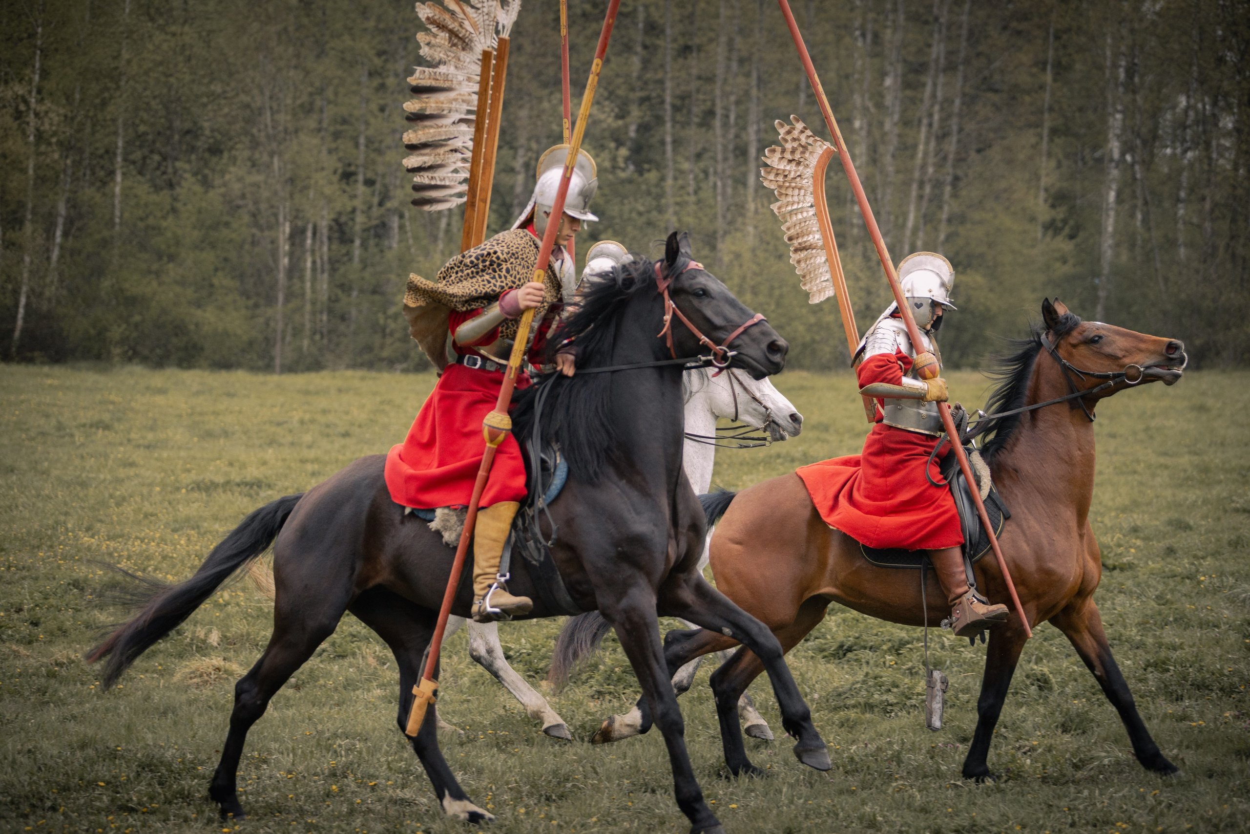 Золотая шпора. Огнем и мечем. День третий. Бой на поле. Профессиональный интерьерный и репортажный фотограф Минск и РБ. Максим Орлов