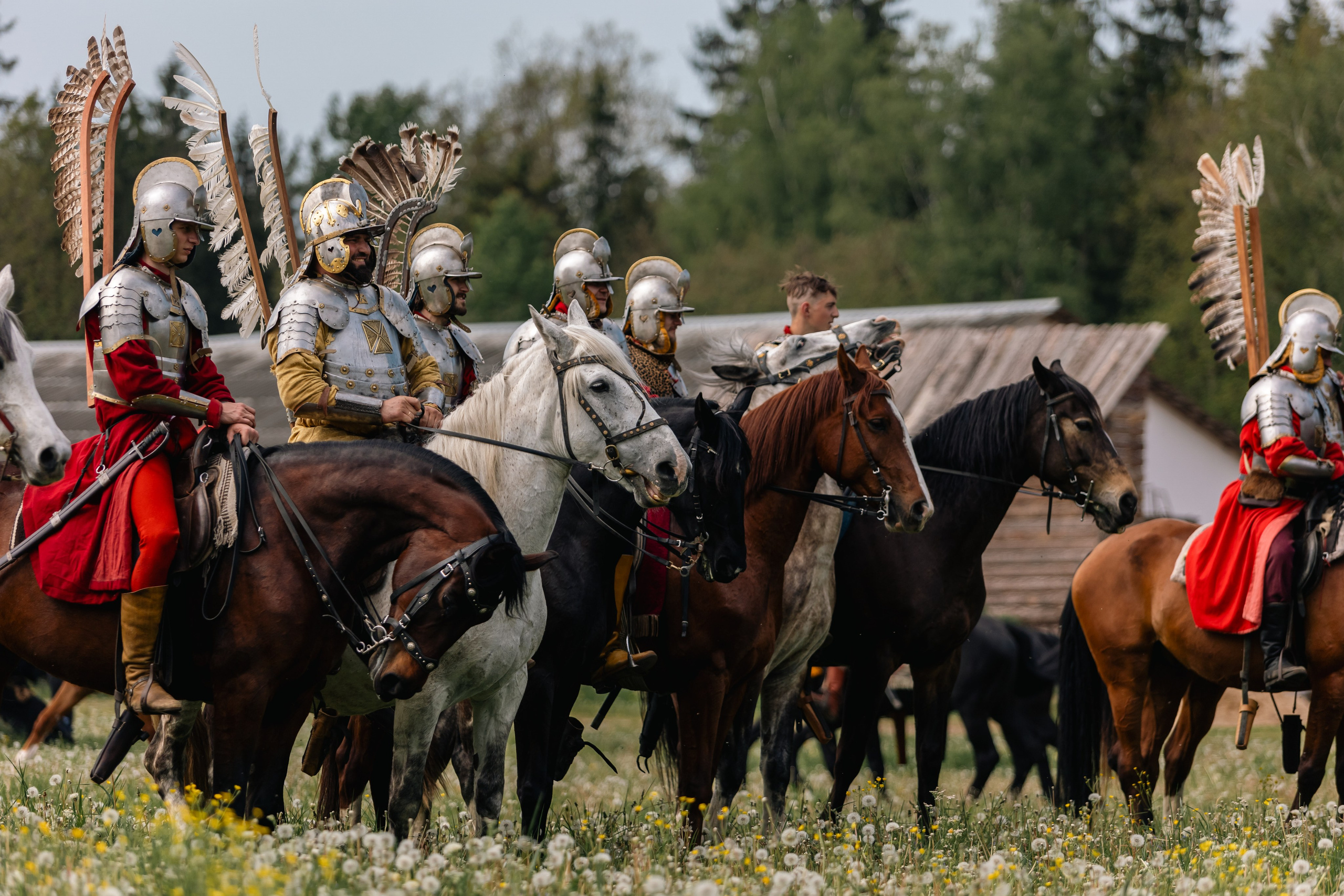 Золотая шпора. Маневры 17 века. Профессиональный интерьерный и репортажный фотограф Минск и РБ. Максим Орлов