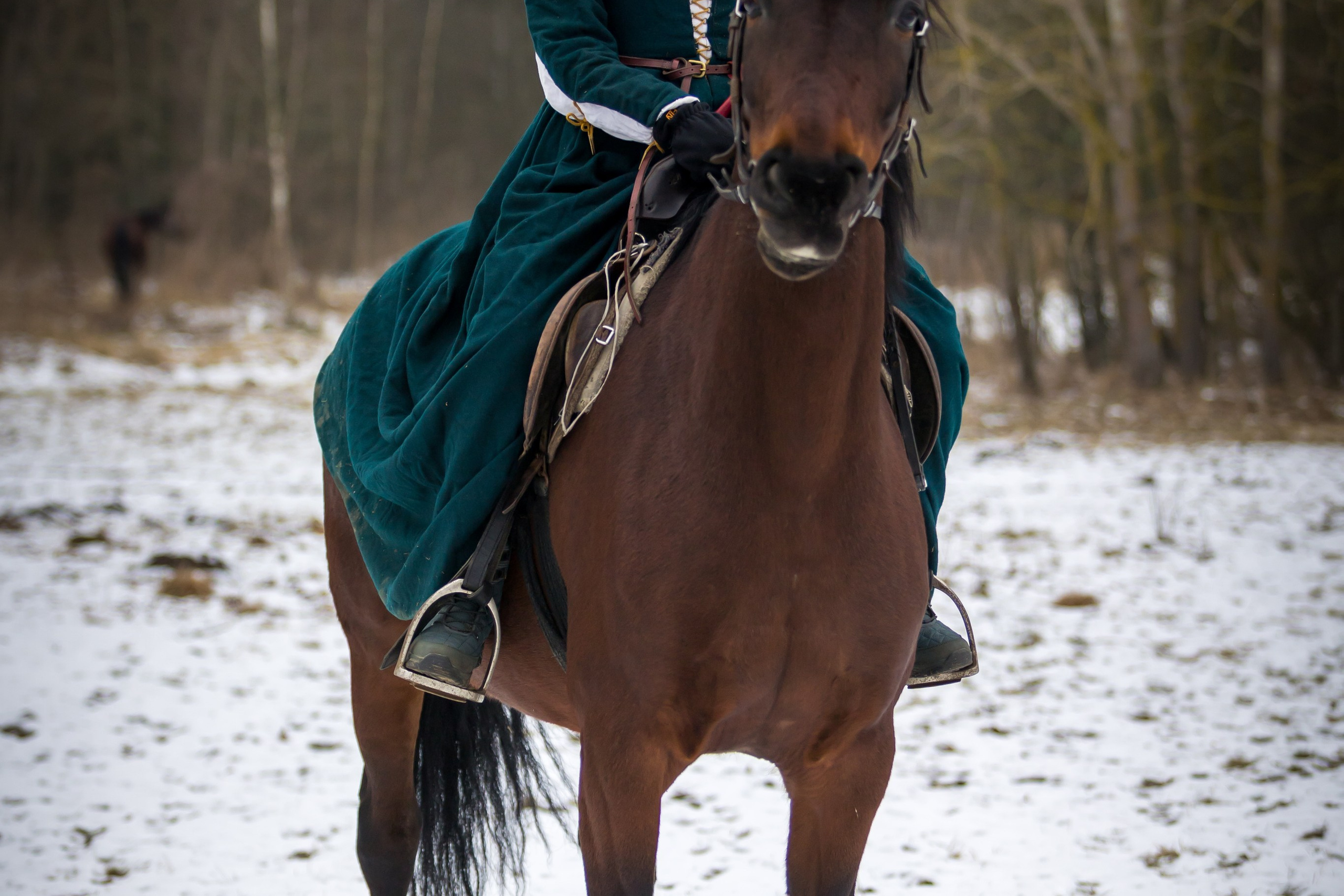 Зимние маневры «Золотой шпоры». 2025. Профессиональный интерьерный и репортажный фотограф Минск и РБ. Максим Орлов