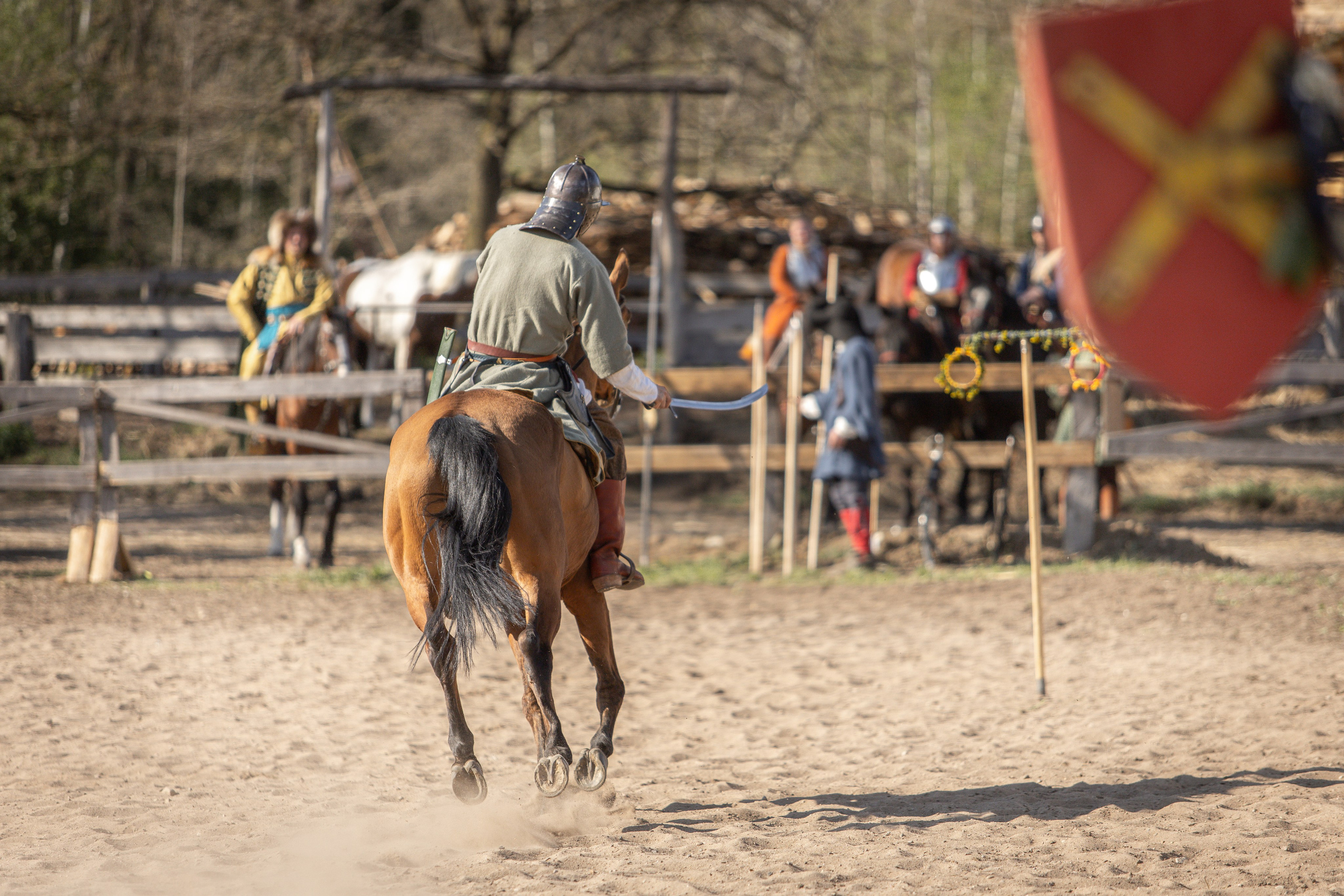 Золотая Шпора. Огнем и Мечем. День первый. Рыцарский турнир. Профессиональный интерьерный и репортажный фотограф Минск и РБ. Максим Орлов