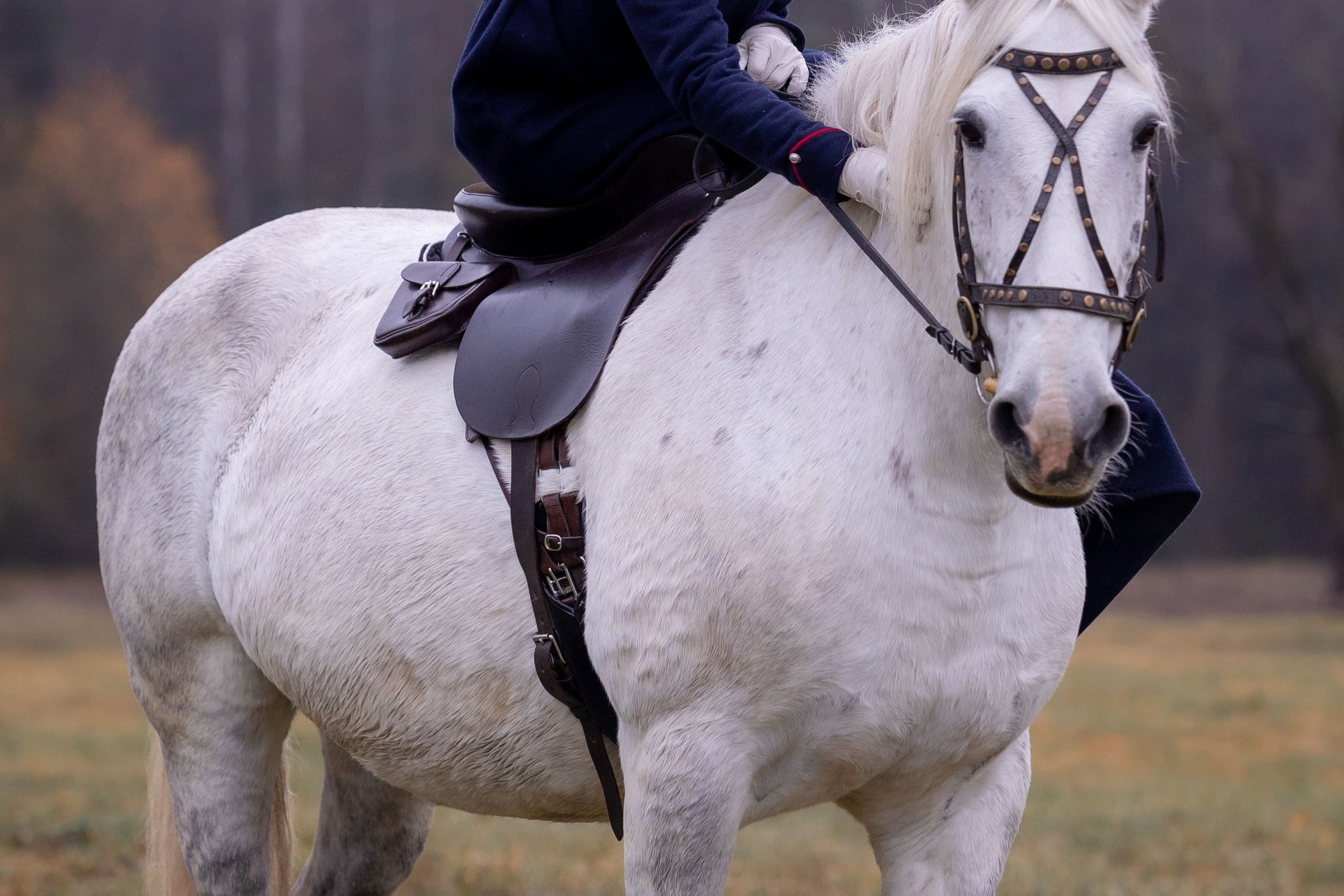 Ампирный выезд. Профессиональный интерьерный и репортажный фотограф Минск и РБ. Максим Орлов