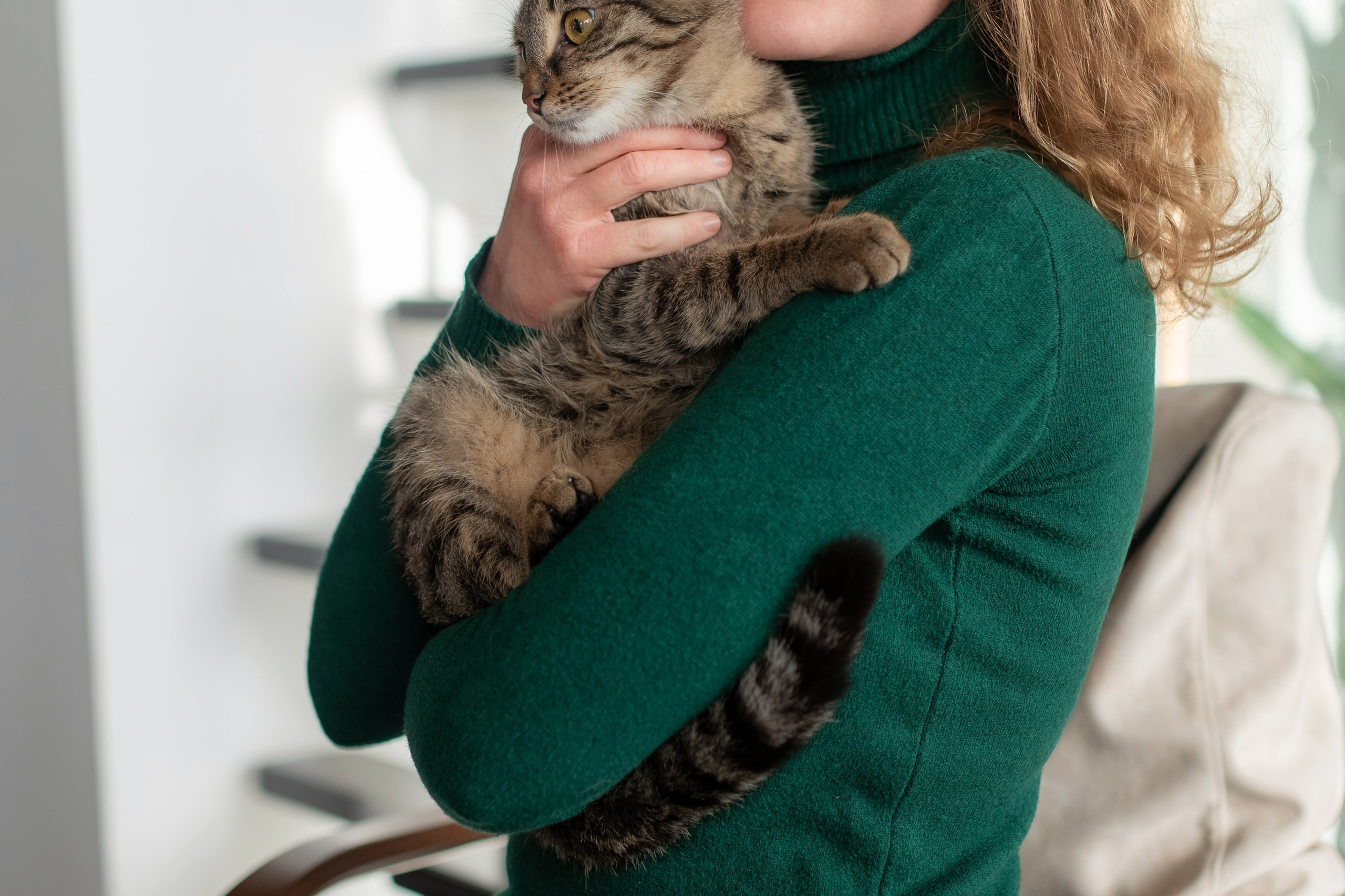 Котики для Old Cat. Профессиональный интерьерный и репортажный фотограф Минск и РБ. Максим Орлов