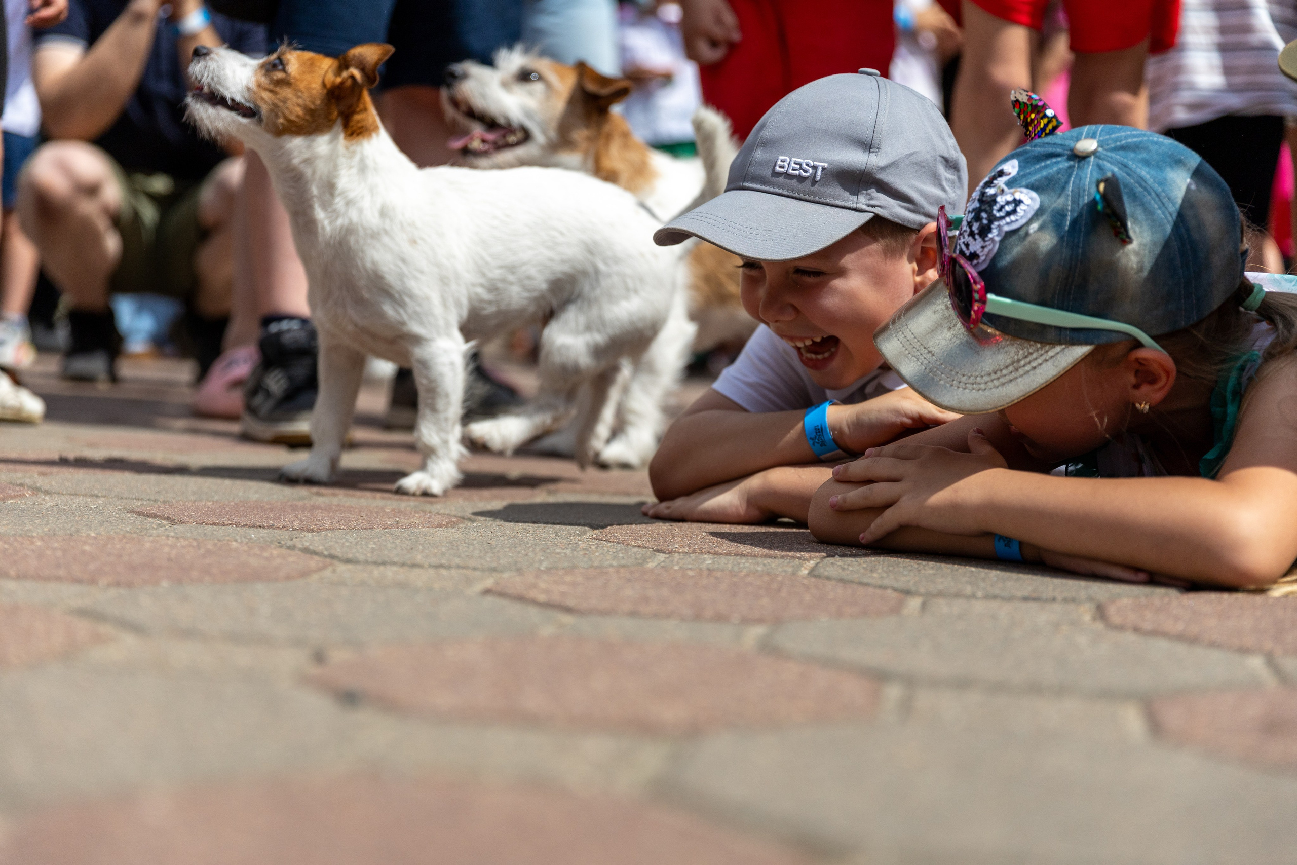 Детифест. Профессиональный интерьерный и репортажный фотограф Минск и РБ. Максим Орлов