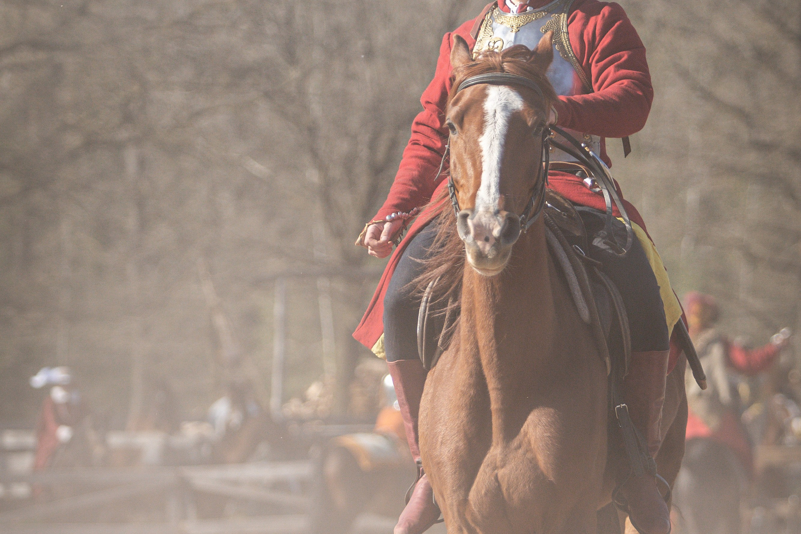 Золотая Шпора. Огнем и Мечем. День первый. Рыцарский турнир. Профессиональный интерьерный и репортажный фотограф Минск и РБ. Максим Орлов