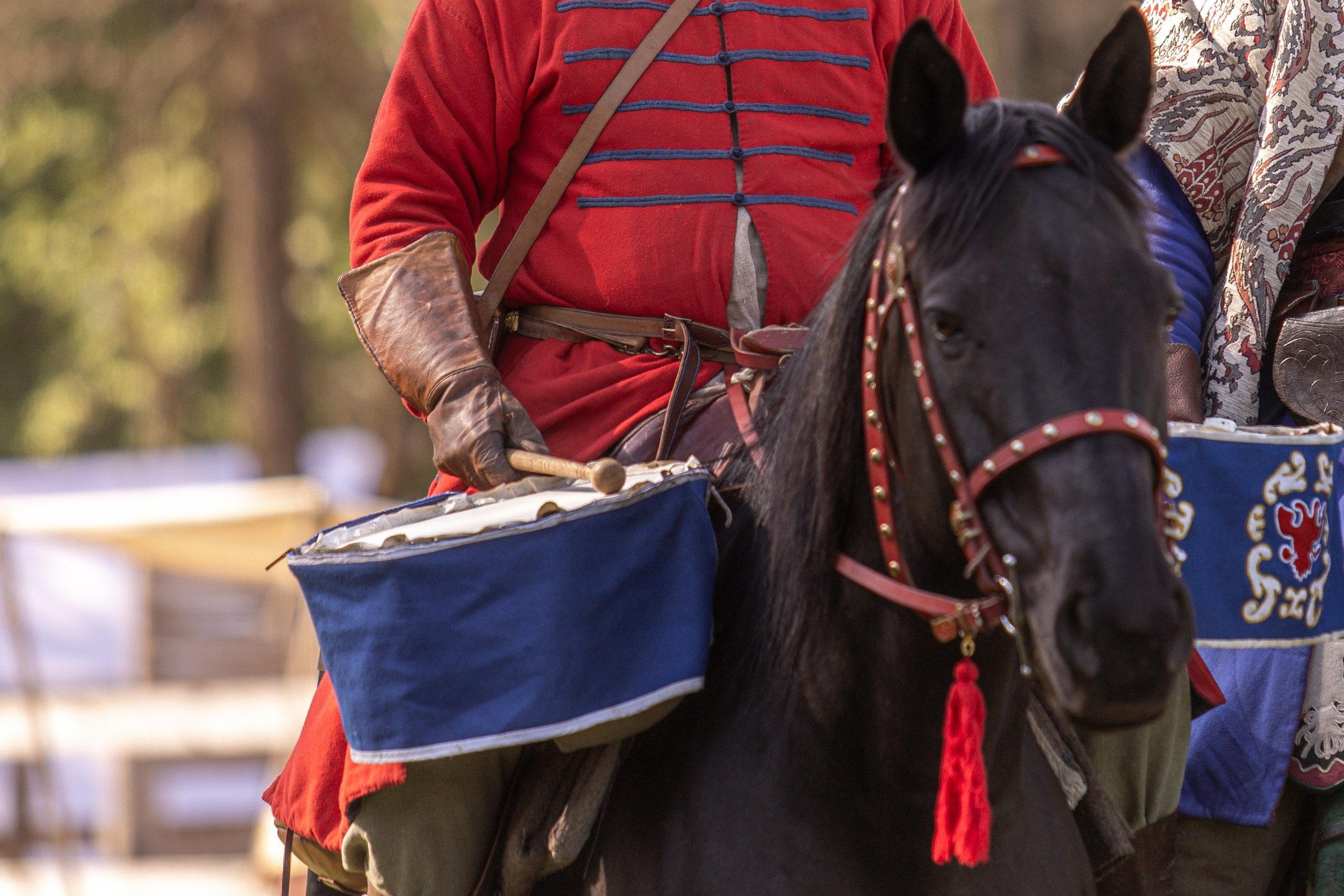 Золотая Шпора. Огнем и Мечем. День первый. Рыцарский турнир. Профессиональный интерьерный и репортажный фотограф Минск и РБ. Максим Орлов