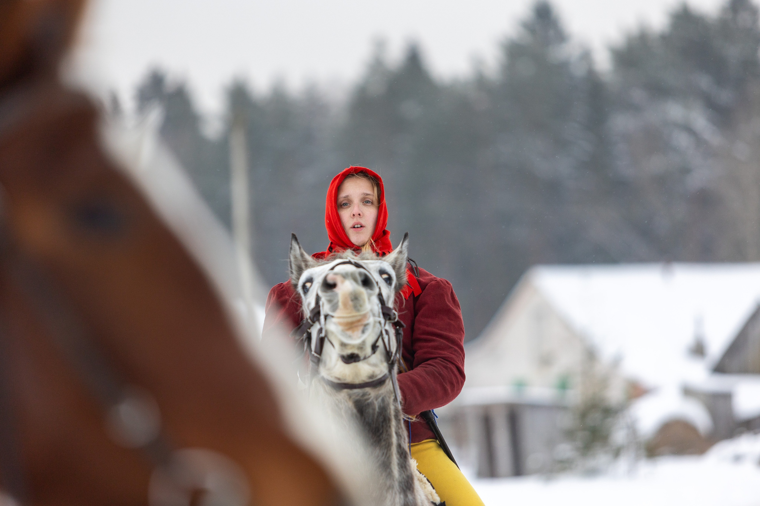 Зимние рыцарские маневры. Профессиональный интерьерный и репортажный фотограф Минск и РБ. Максим Орлов