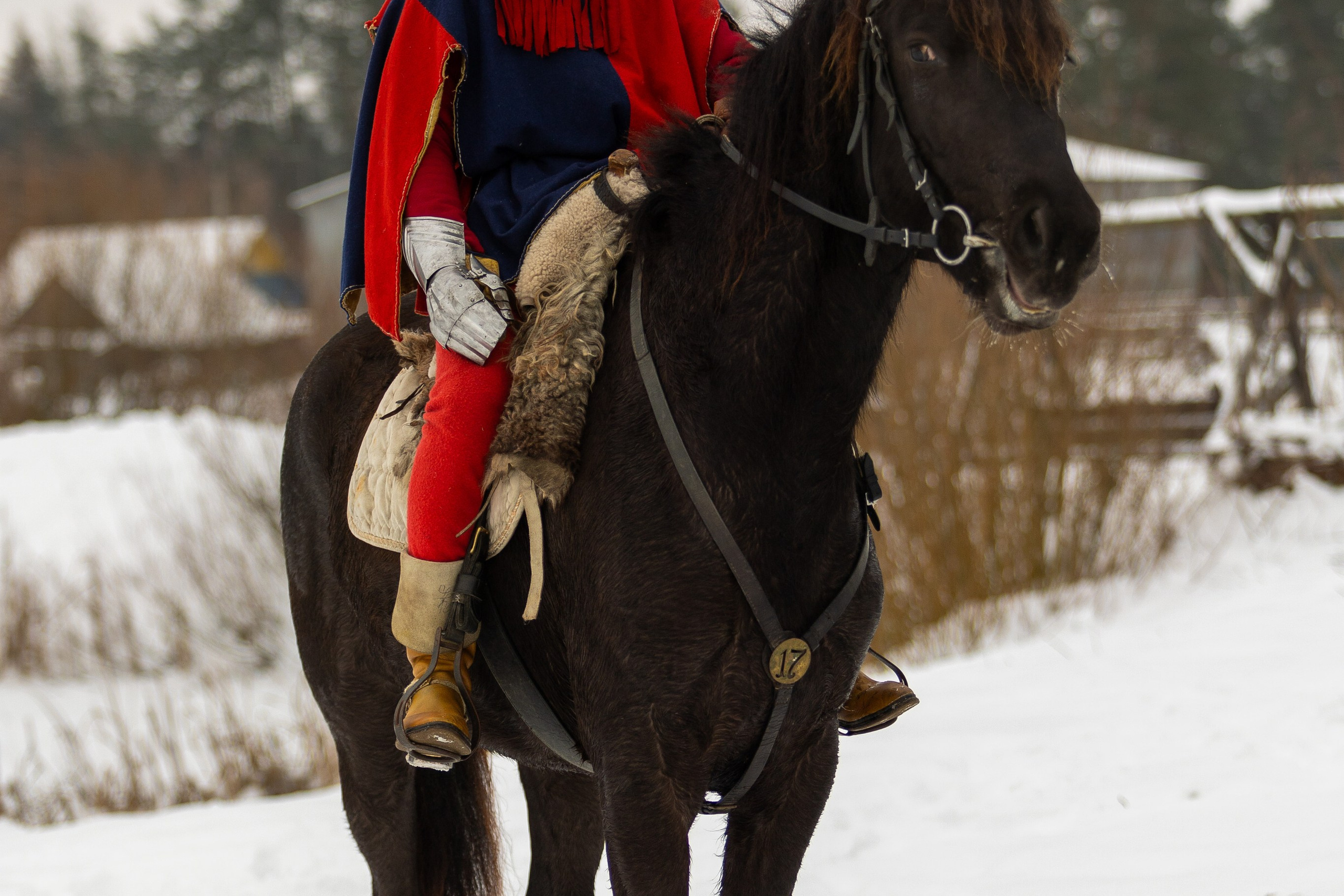 Зимние рыцарские маневры. Профессиональный интерьерный и репортажный фотограф Минск и РБ. Максим Орлов