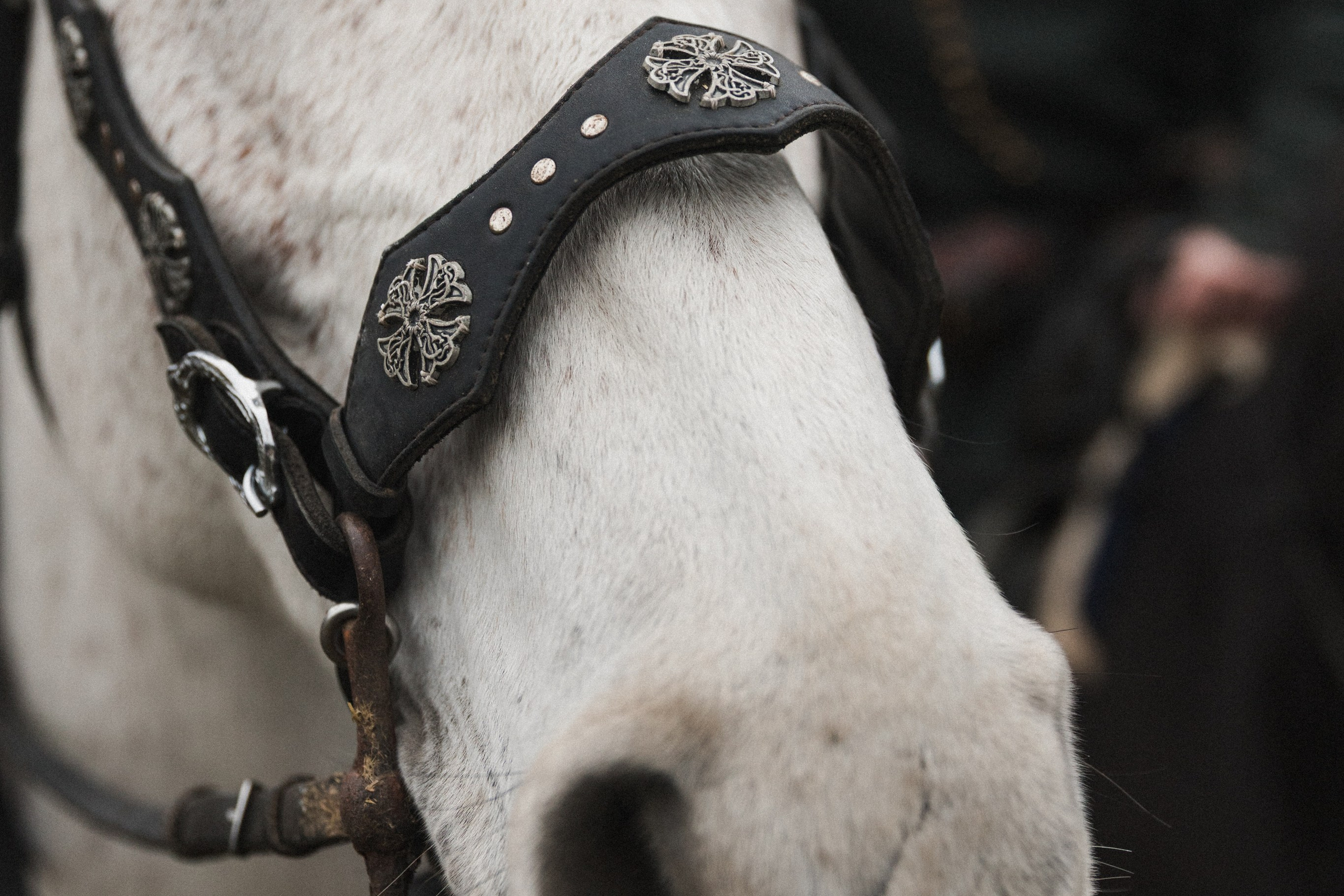 Маневры 17 века. Золотая шпора. Профессиональный интерьерный и репортажный фотограф Минск и РБ. Максим Орлов