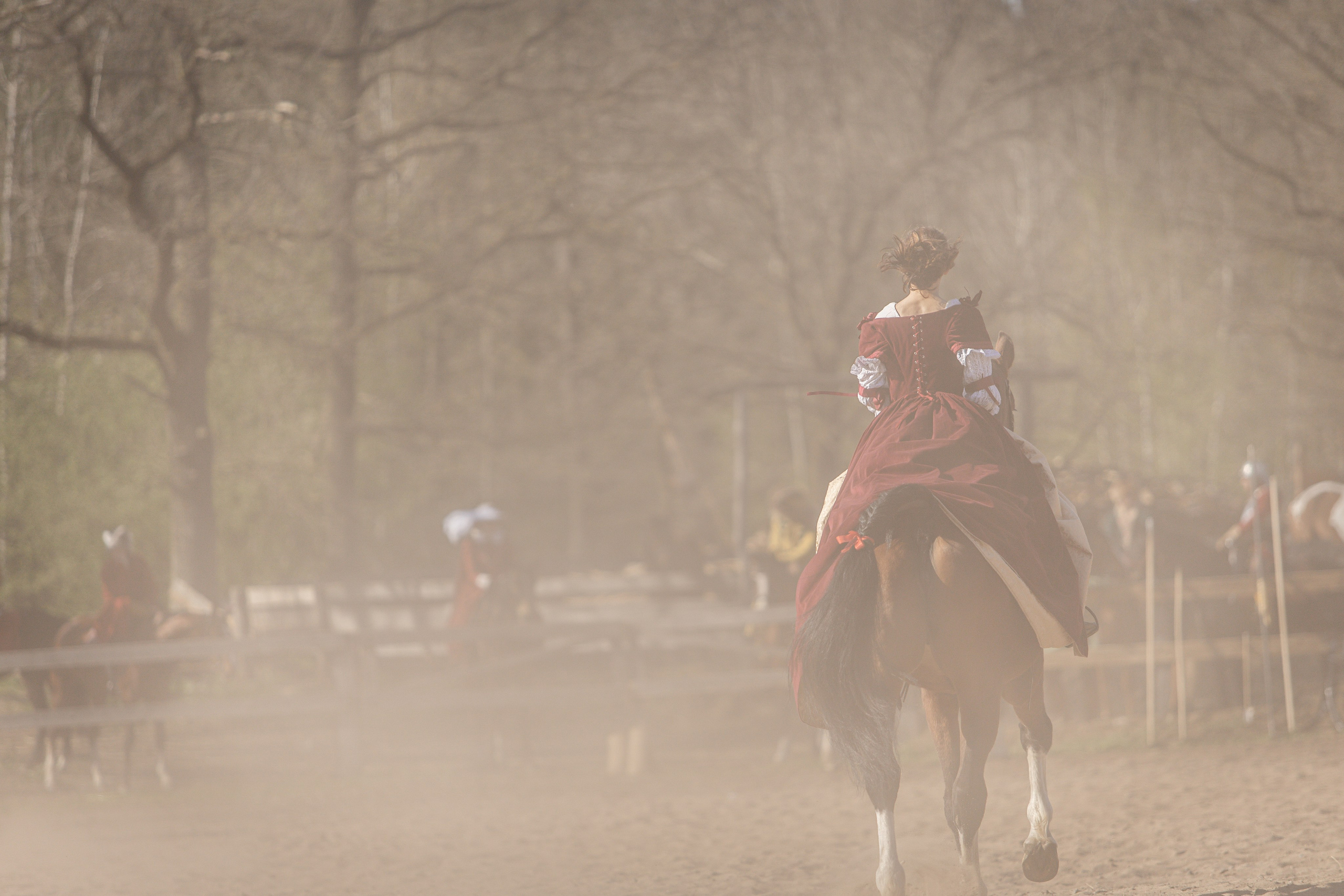 Золотая Шпора. Огнем и Мечем. День первый. Рыцарский турнир. Профессиональный интерьерный и репортажный фотограф Минск и РБ. Максим Орлов