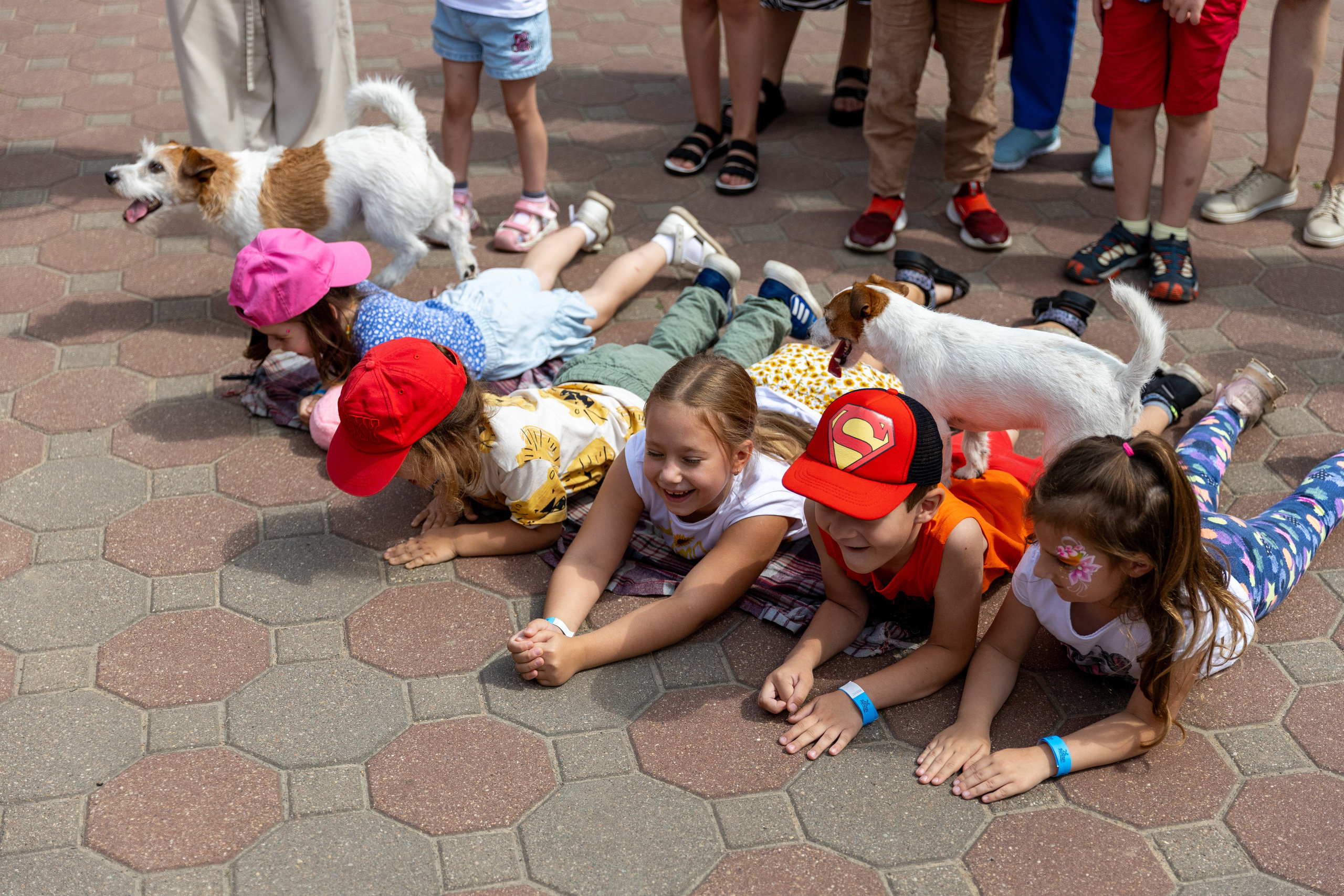 Детифест. Профессиональный интерьерный и репортажный фотограф Минск и РБ. Максим Орлов