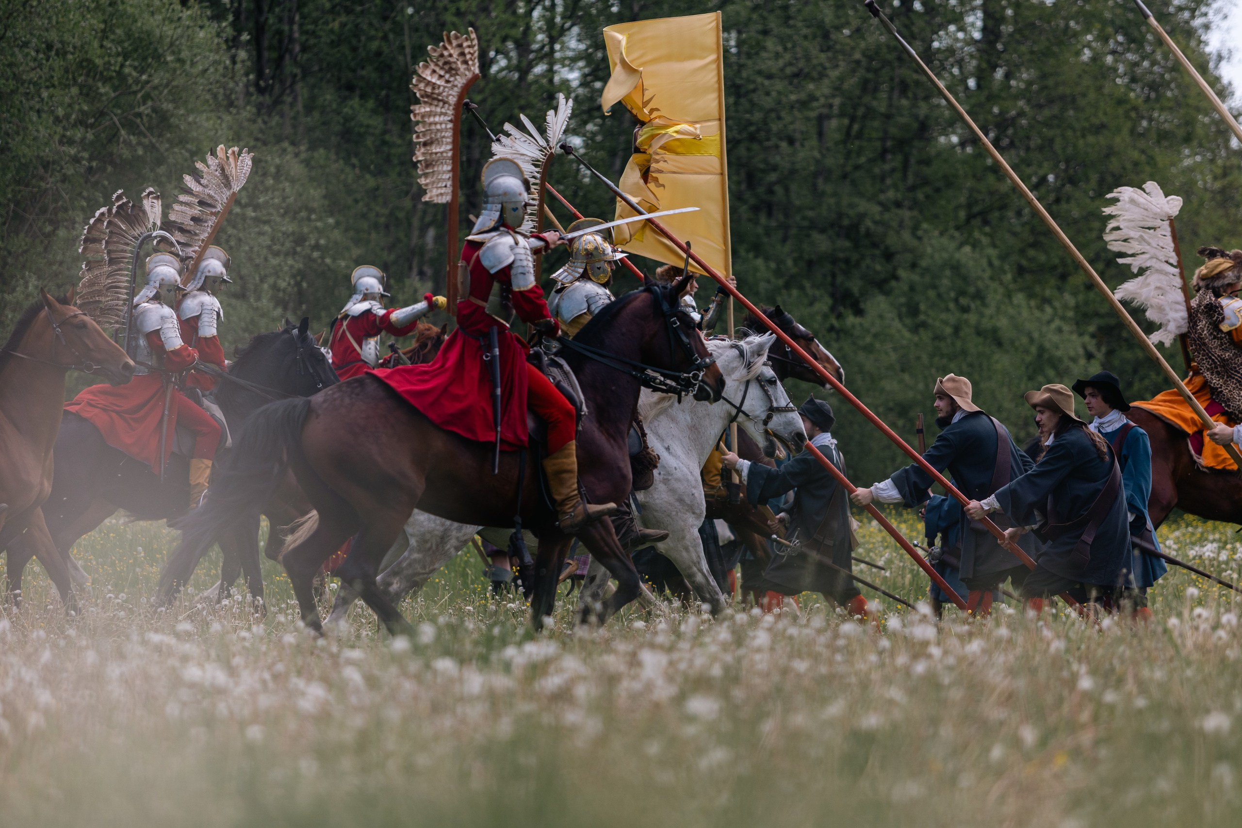 Золотая шпора. Маневры 17 века. Профессиональный интерьерный и репортажный фотограф Минск и РБ. Максим Орлов