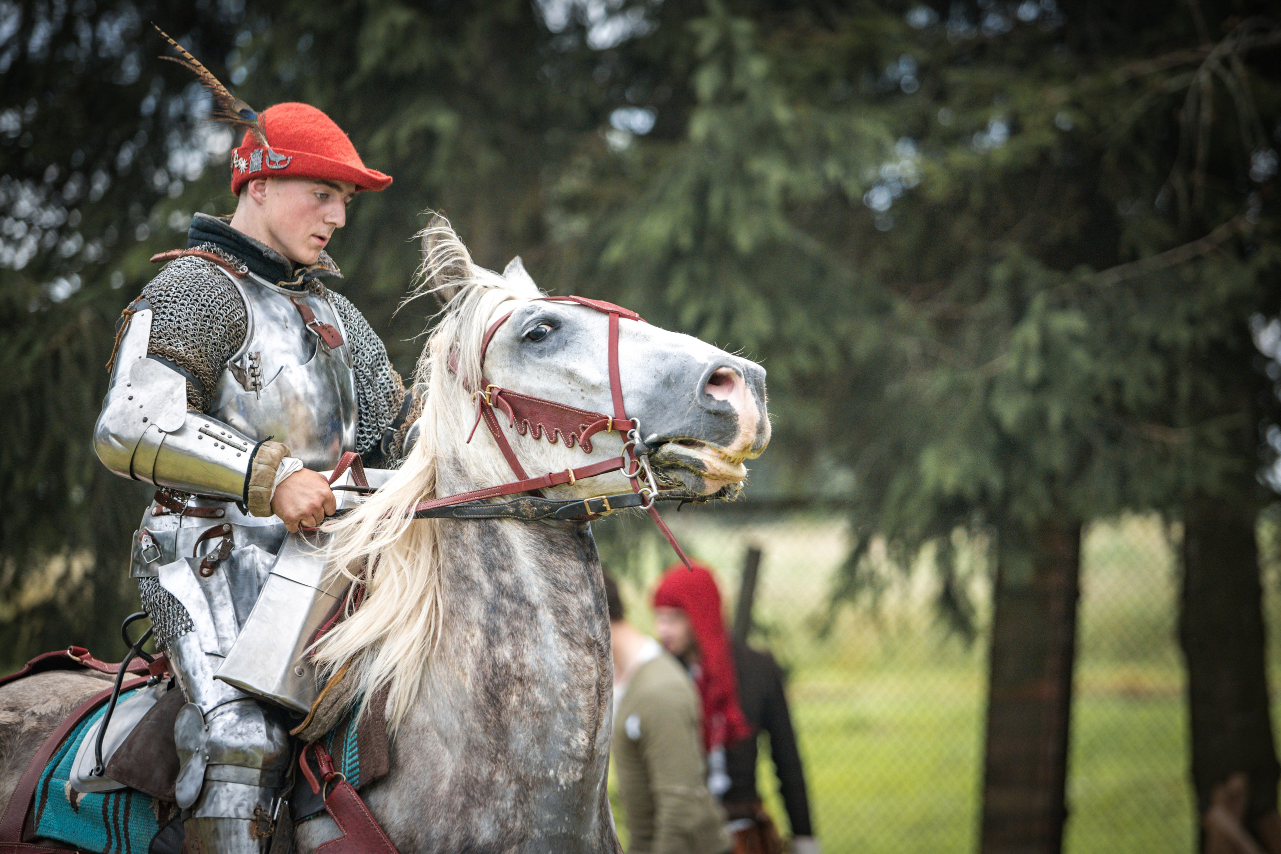 Наш Грюнвальд 2025. Рыцарский турнир. Профессиональный интерьерный и репортажный фотограф Минск и РБ. Максим Орлов