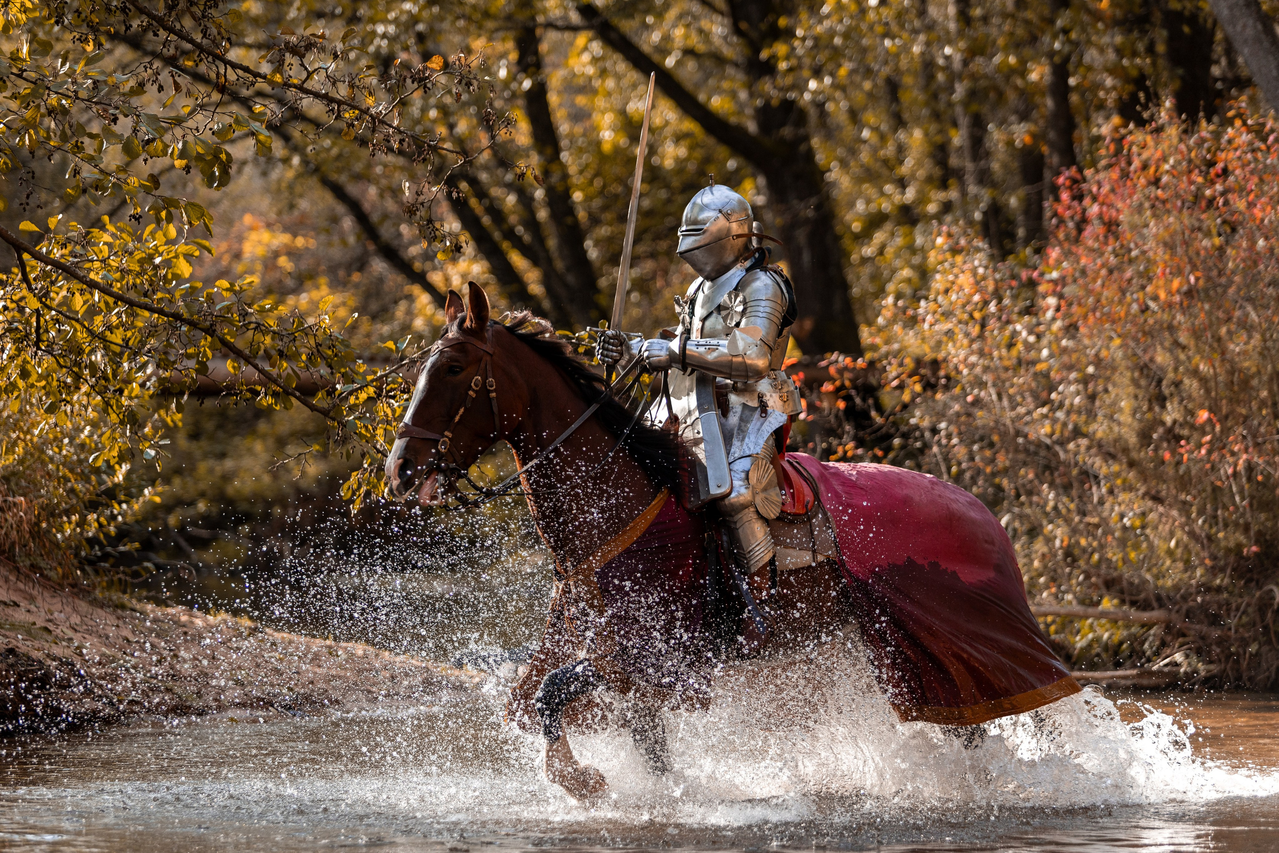 Рыцарская с Афиной. Дима Теслик. Профессиональный интерьерный и репортажный фотограф Минск и РБ. Максим Орлов