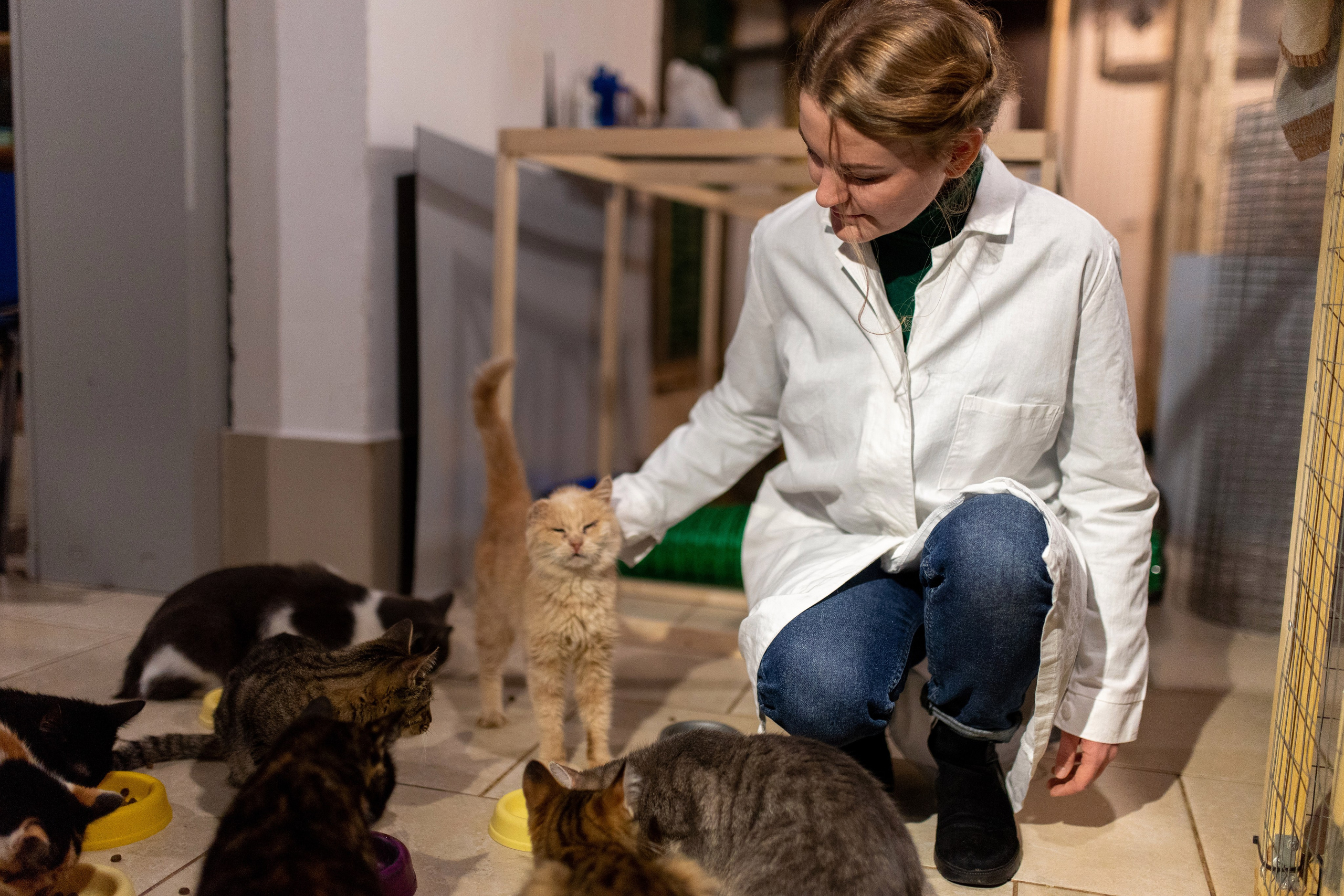 Котики для Old Cat. Профессиональный интерьерный и репортажный фотограф Минск и РБ. Максим Орлов