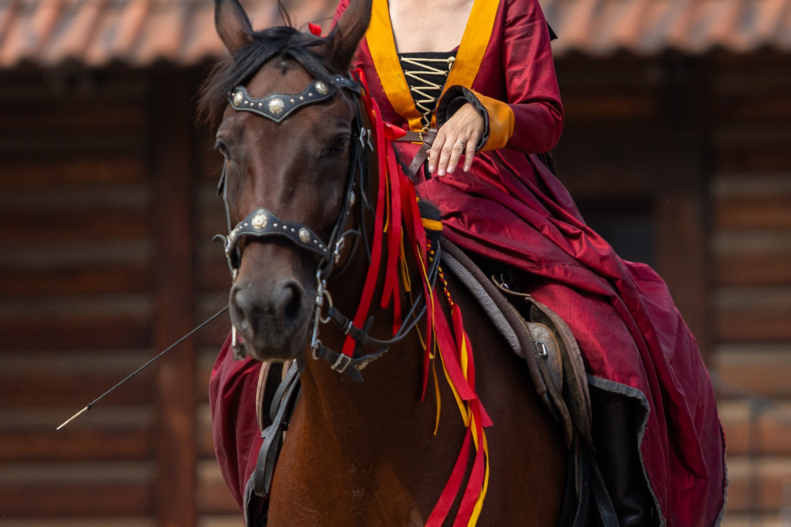 Выступление «Золотой шпоры» на празднике города Лиды. Профессиональный интерьерный и репортажный фотограф Минск и РБ. Максим Орлов