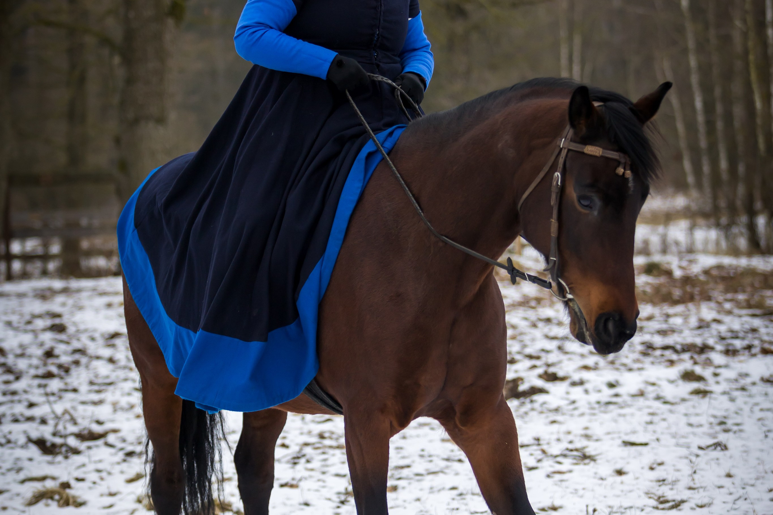 Зимние маневры «Золотой шпоры». 2025. Профессиональный интерьерный и репортажный фотограф Минск и РБ. Максим Орлов