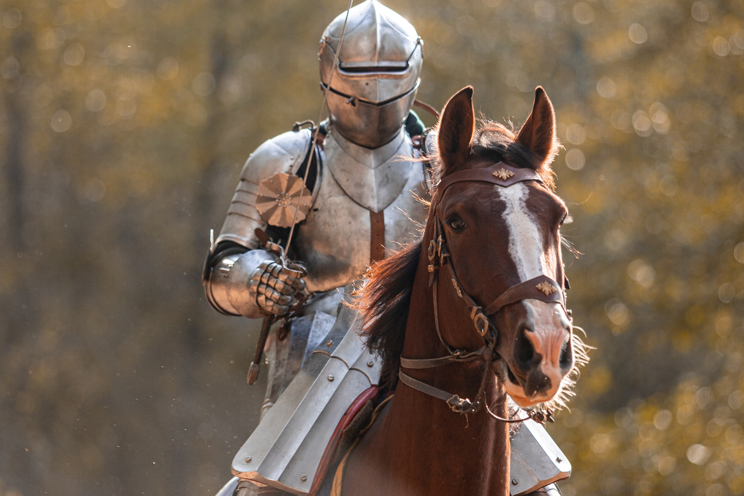 Рыцарская с Афиной. Дима Теслик. Профессиональный интерьерный и репортажный фотограф Минск и РБ. Максим Орлов