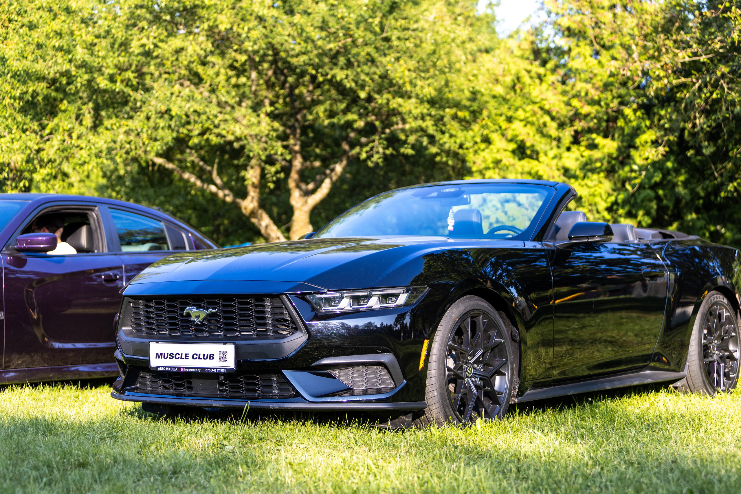 Свята сонца. Профессиональный интерьерный и репортажный фотограф Минск и РБ. Максим Орлов