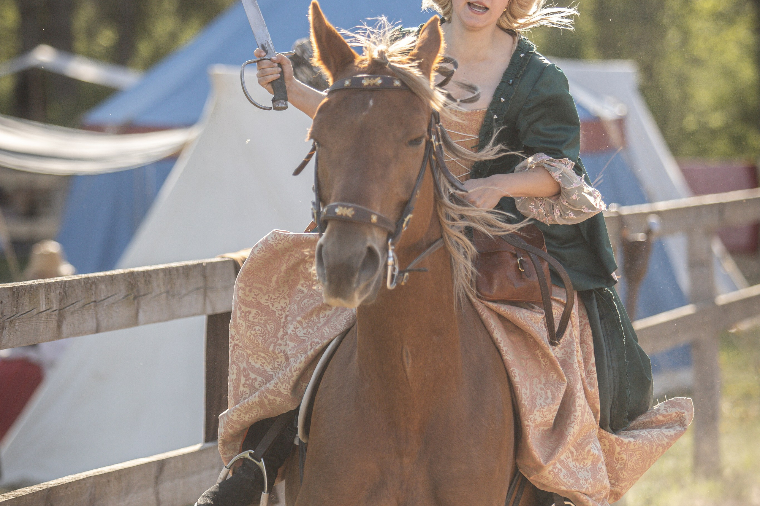 Золотая Шпора. Огнем и Мечем. День первый. Рыцарский турнир. Профессиональный интерьерный и репортажный фотограф Минск и РБ. Максим Орлов