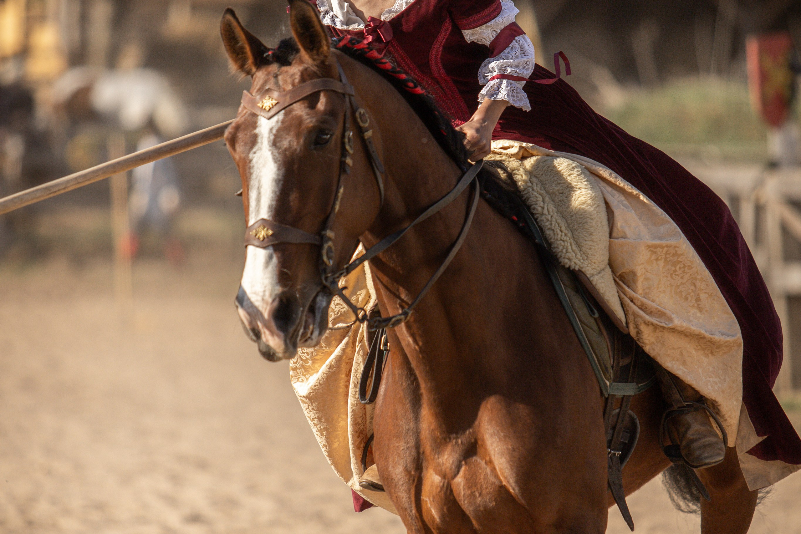 Золотая Шпора. Огнем и Мечем. День первый. Рыцарский турнир. Профессиональный интерьерный и репортажный фотограф Минск и РБ. Максим Орлов