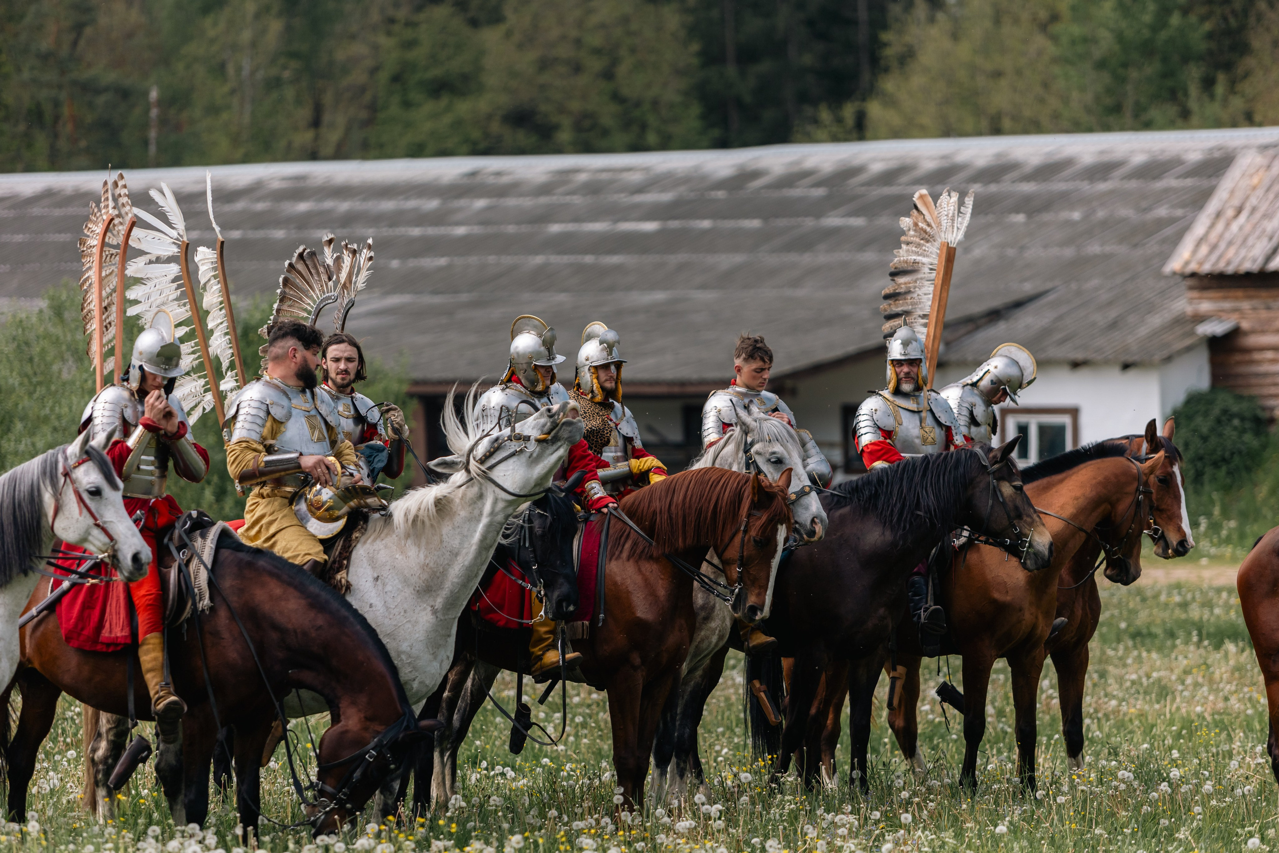 Золотая шпора. Маневры 17 века. Профессиональный интерьерный и репортажный фотограф Минск и РБ. Максим Орлов