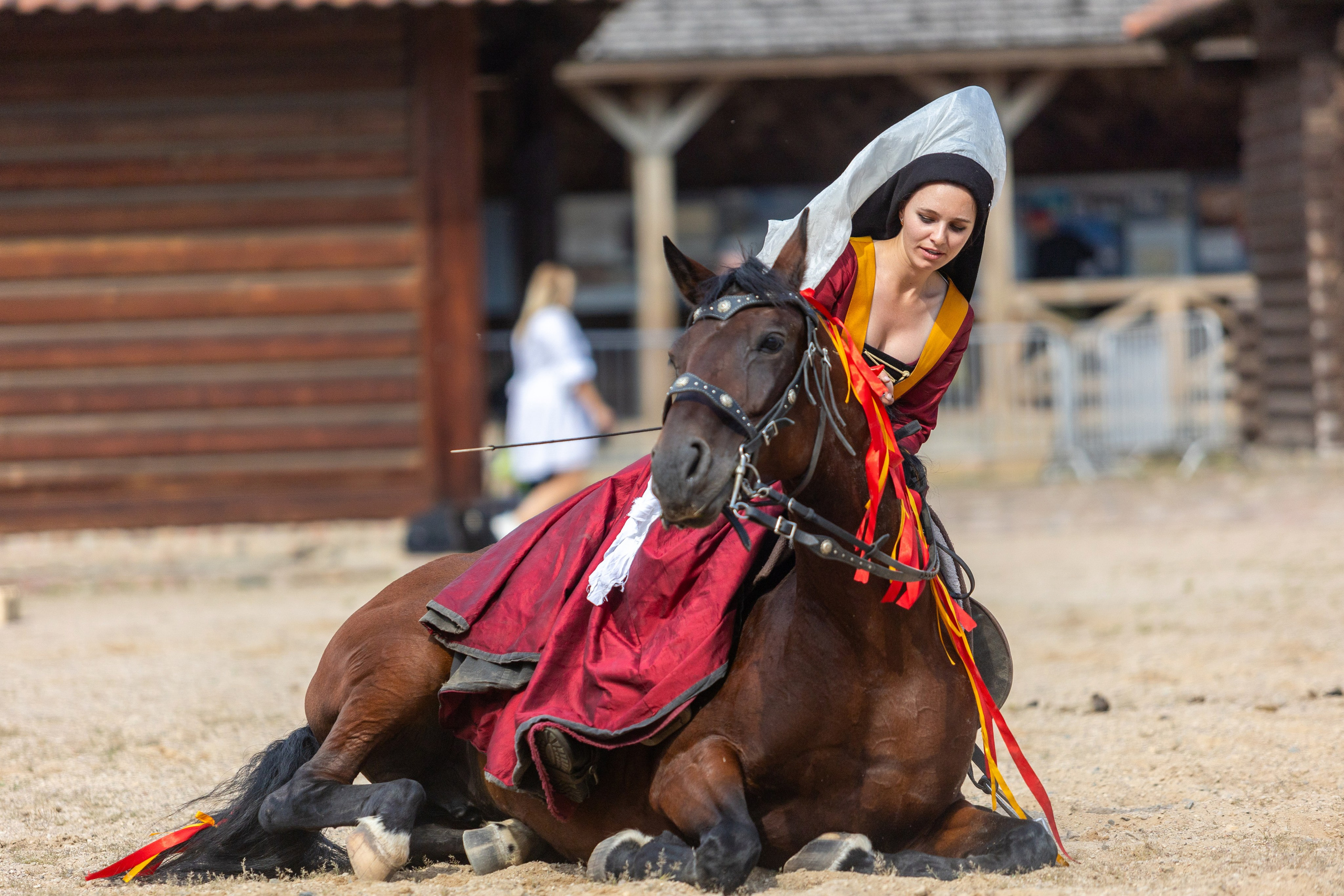 Выступление «Золотой шпоры» на празднике города Лиды. Профессиональный интерьерный и репортажный фотограф Минск и РБ. Максим Орлов