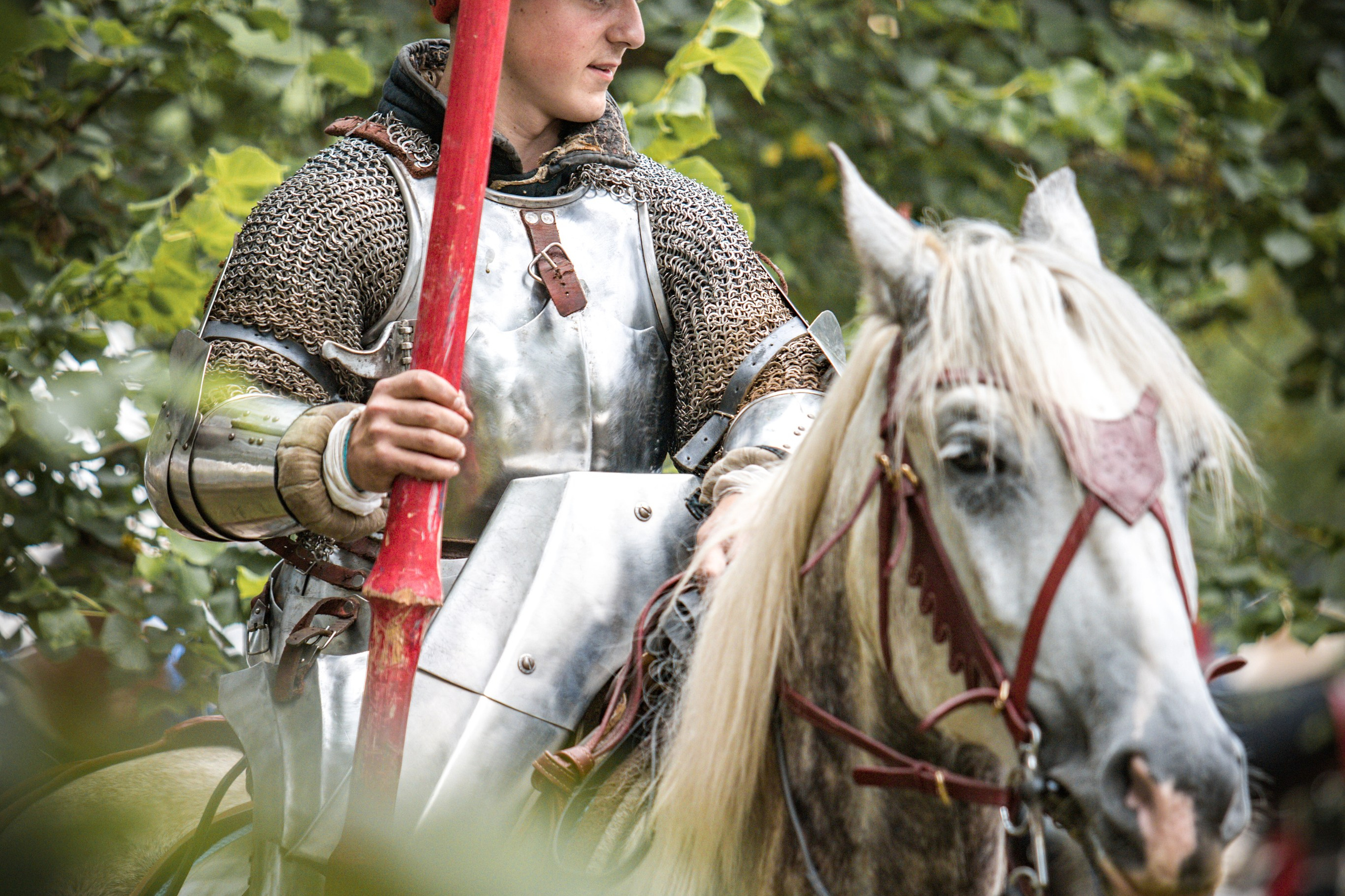 Наш Грюнвальд 2025. Рыцарский турнир. Профессиональный интерьерный и репортажный фотограф Минск и РБ. Максим Орлов