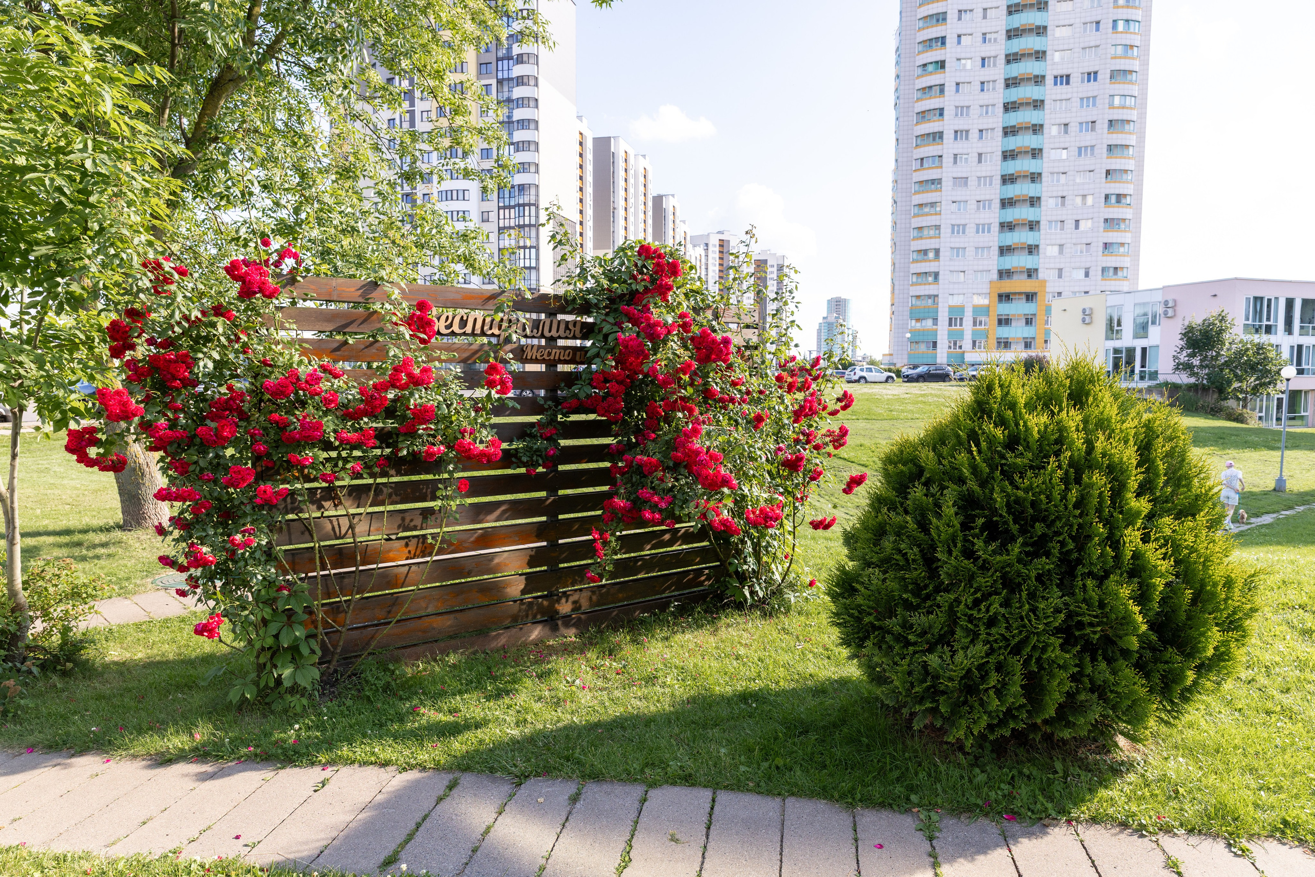 Юбилей Татьяны в ресторане. Профессиональный интерьерный и репортажный фотограф Минск и РБ. Максим Орлов